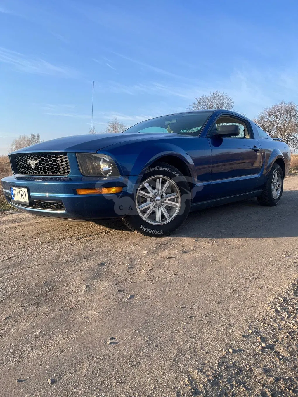 Ford Mustang 2006