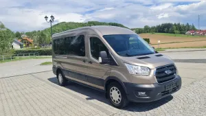 Ford Transit VIII L3H2 Trend 2020