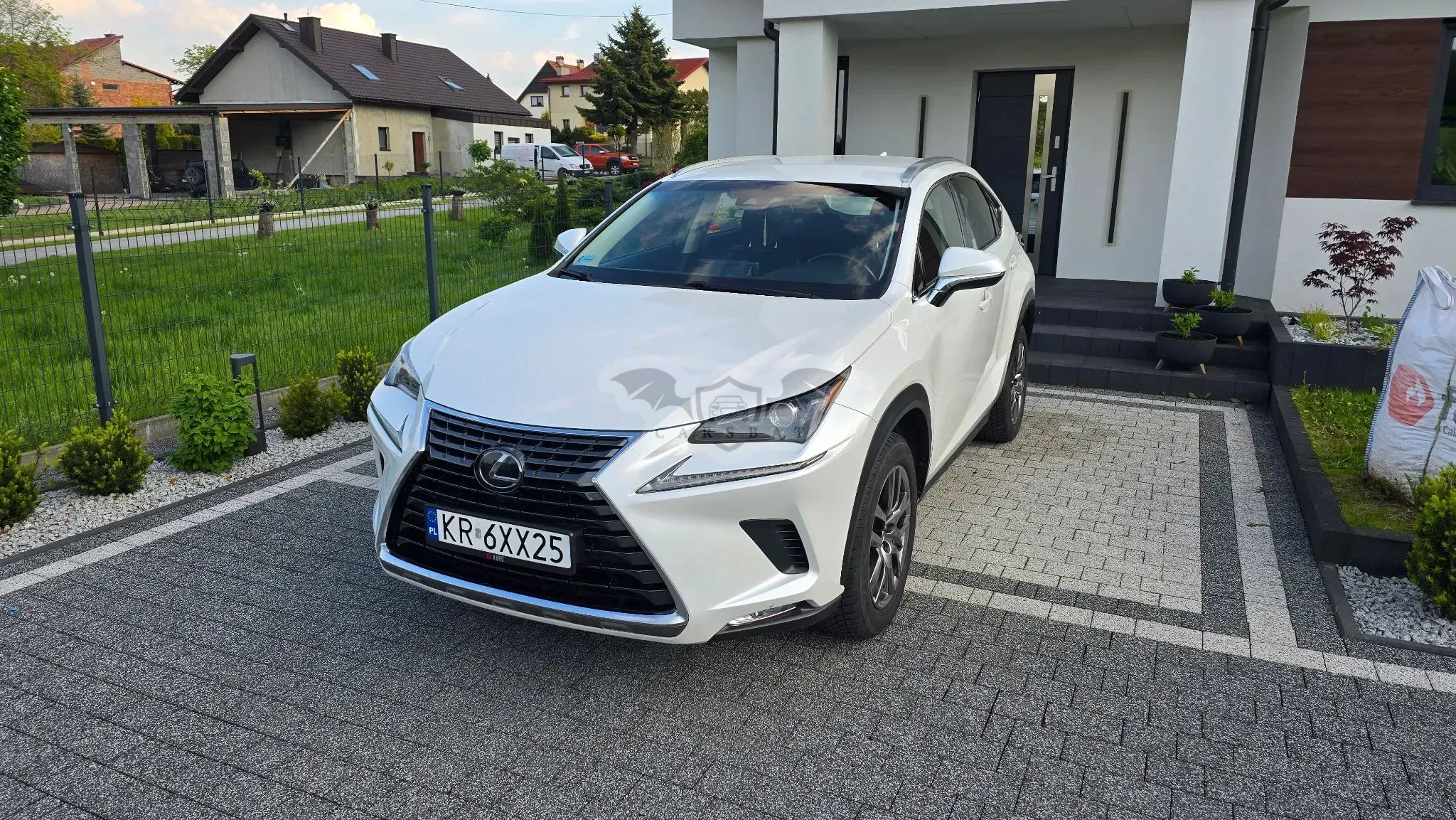 Lexus NX I 300 Business Edition AWD 2019