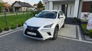 Lexus NX I 300 Business Edition AWD 2019