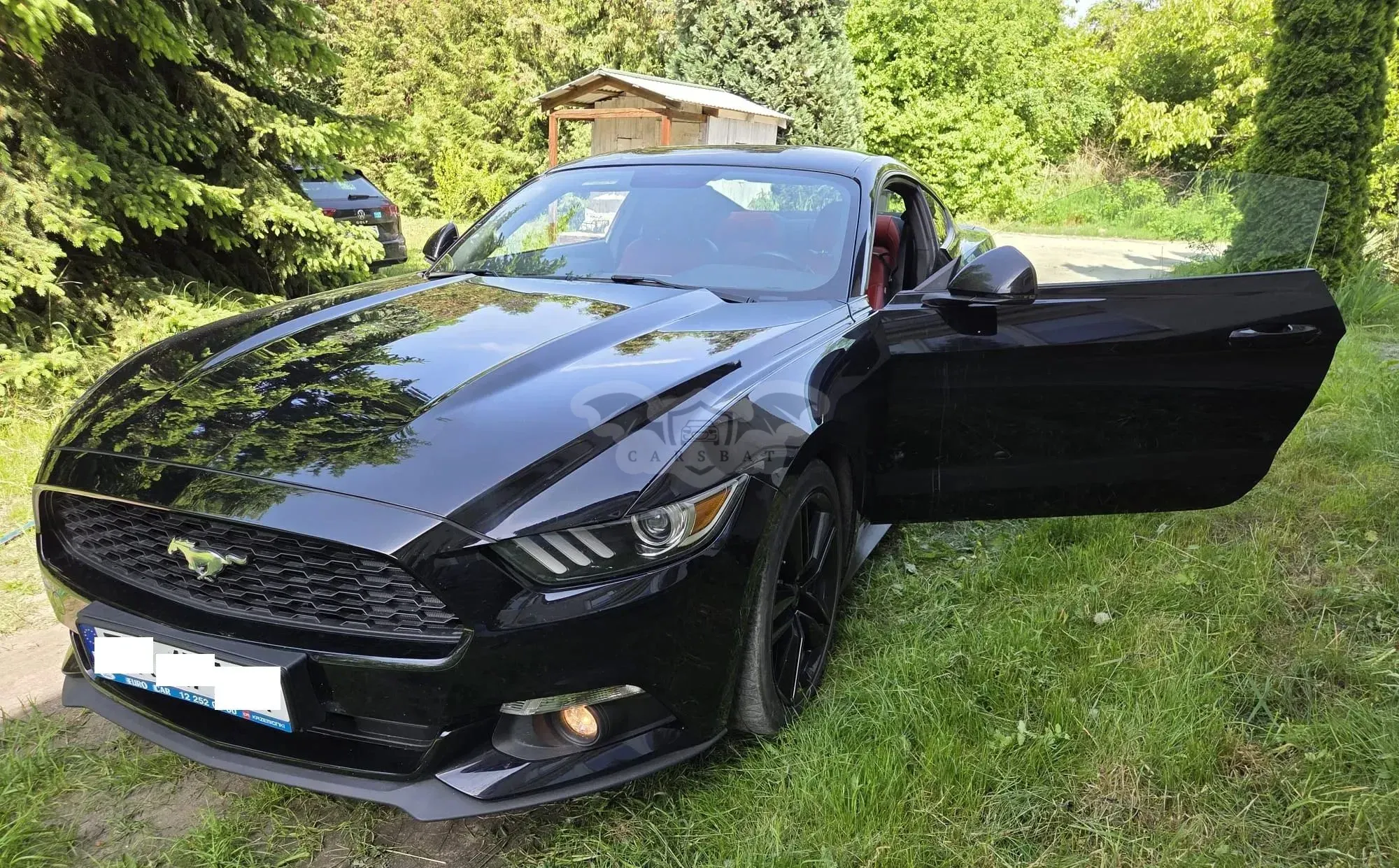Ford Mustang 2017