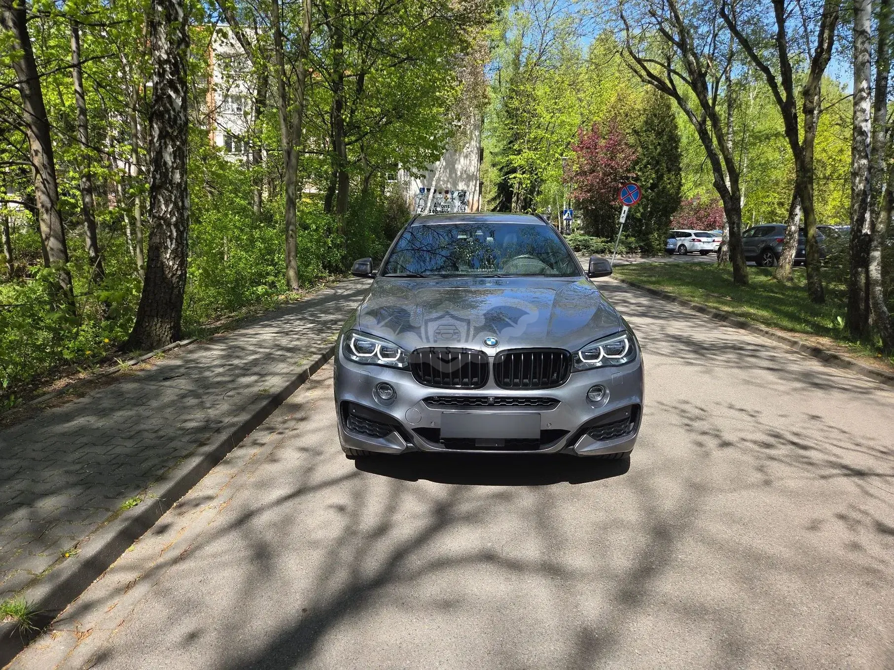 BMW X6 F16 xDrive40d 2019