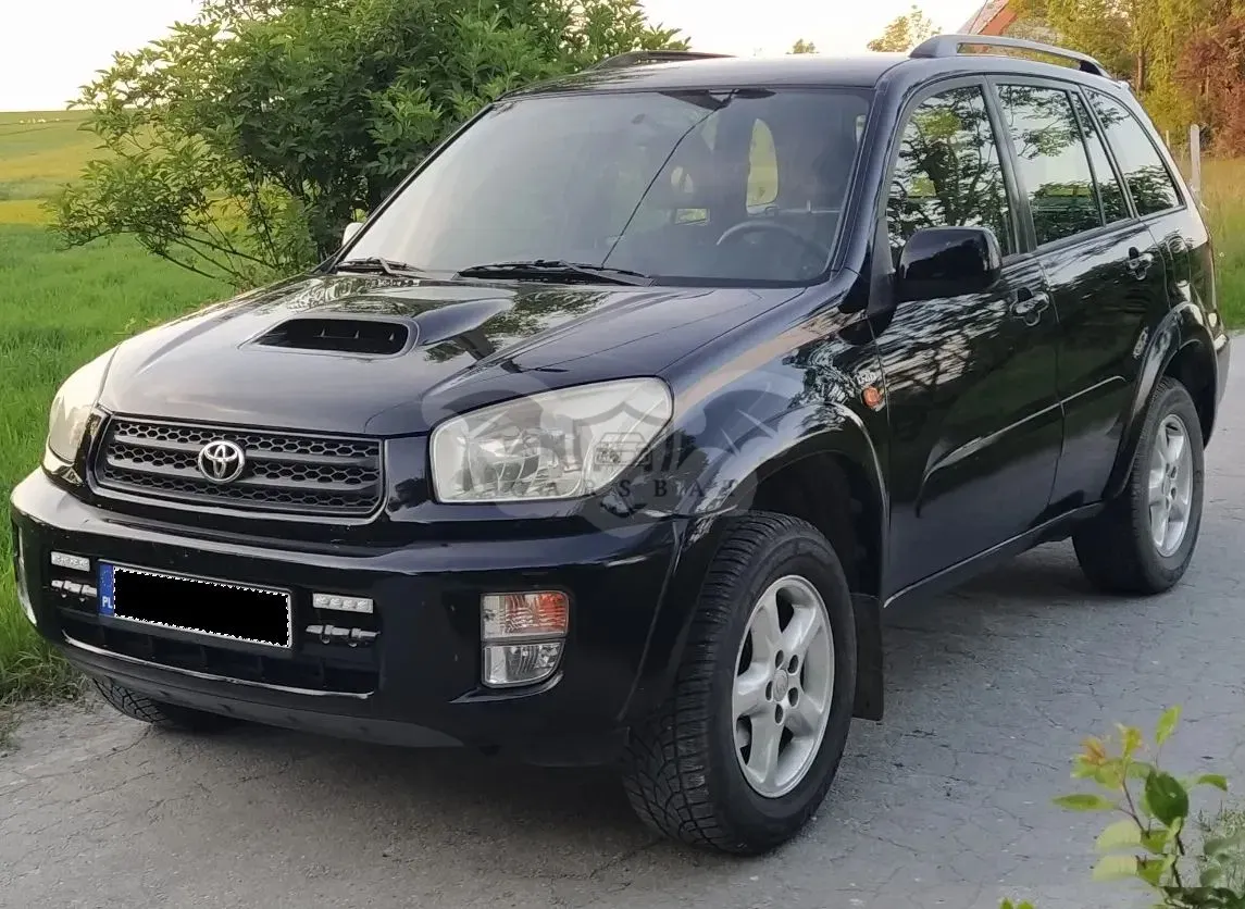 Toyota Rav4 II D-4D 4x4 Executive 2003