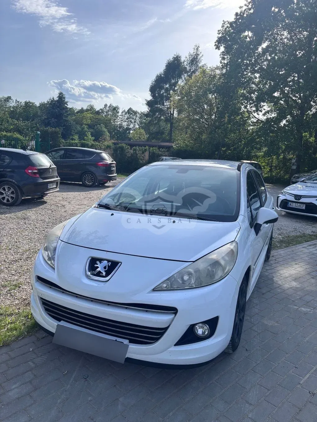 Peugeot 207 1.6 HDi Millesim 200 2009