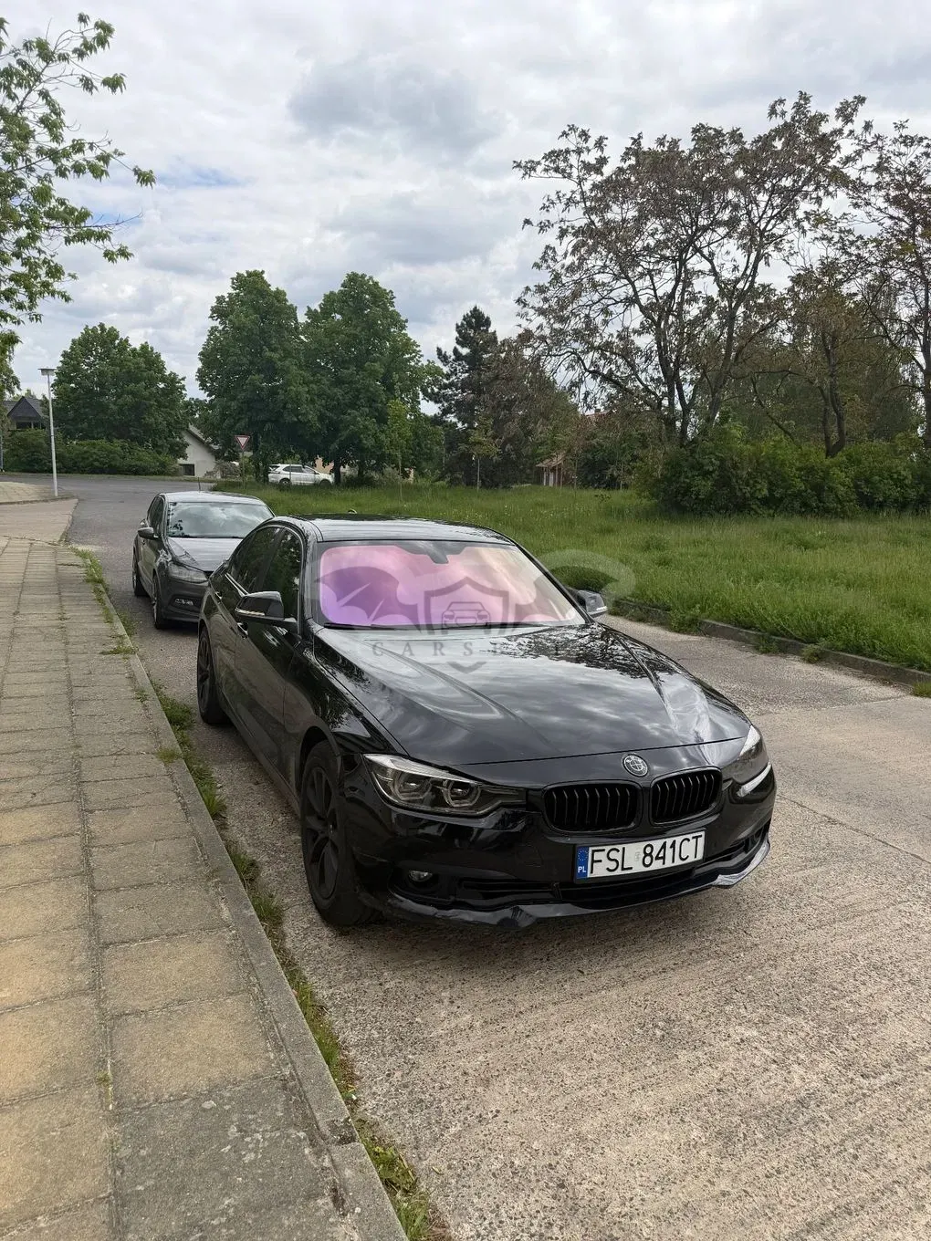 BMW 3 Series F30/F31 320i 2017