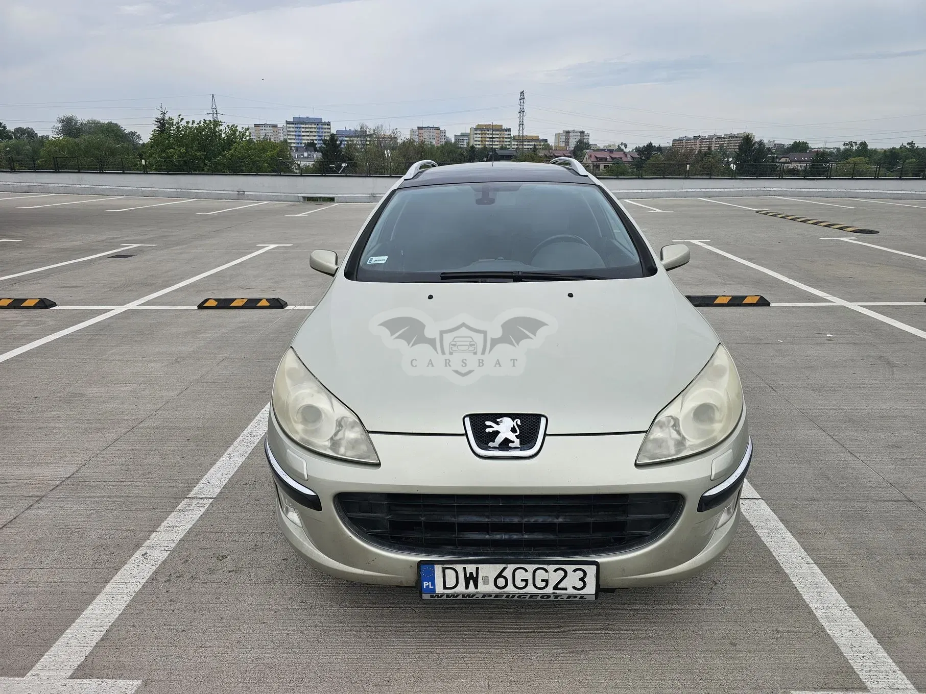 Peugeot 407 2006