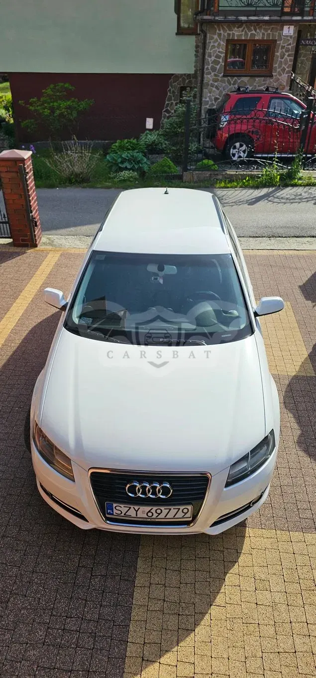 Audi A3 8P 1.6 TDI DPF Attraction 2011