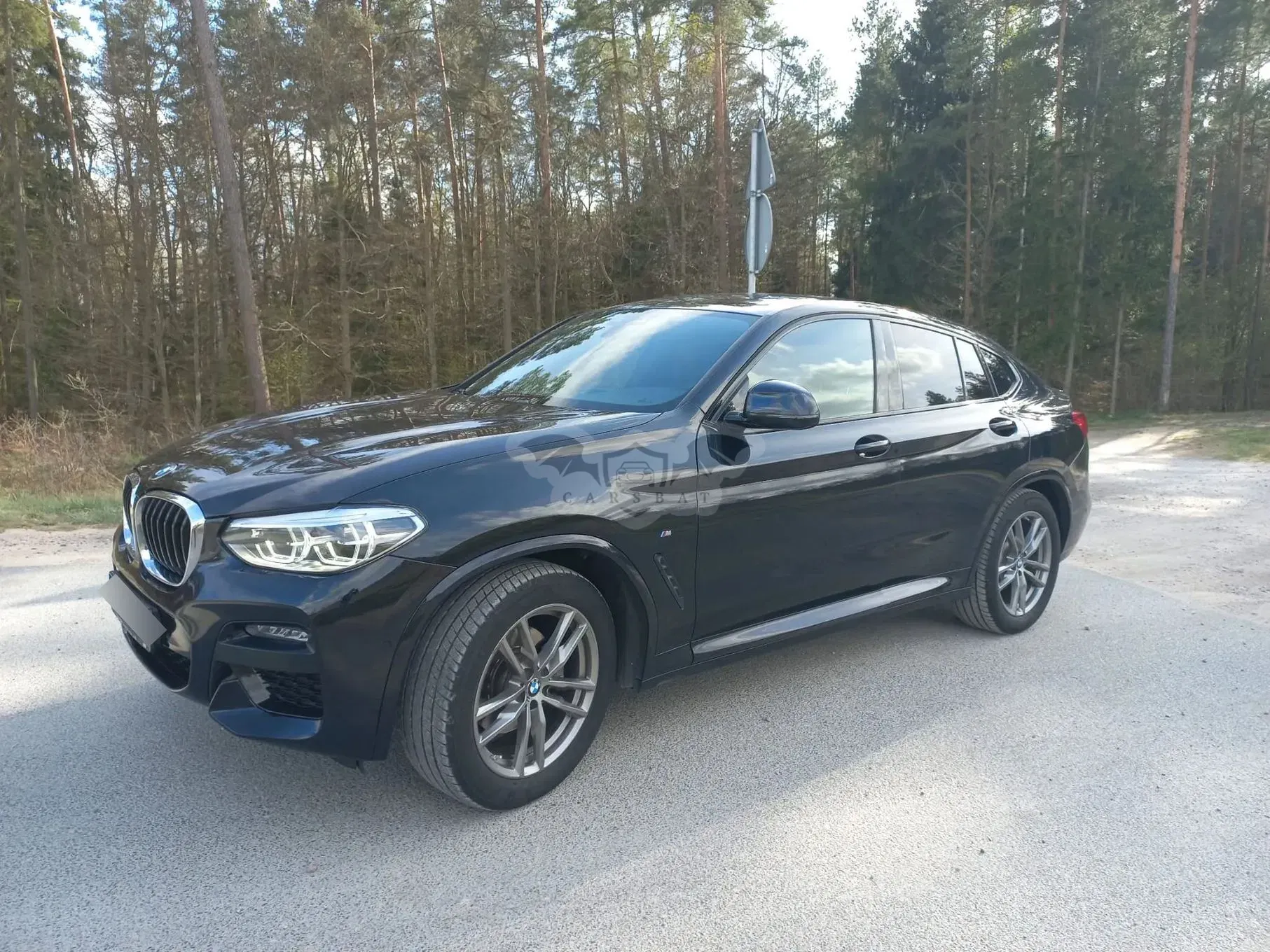 BMW X4 G02 xDrive20d M Sport sport 2020