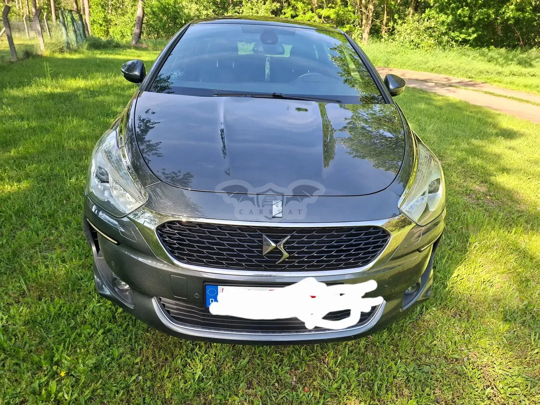 DS DS5 2015