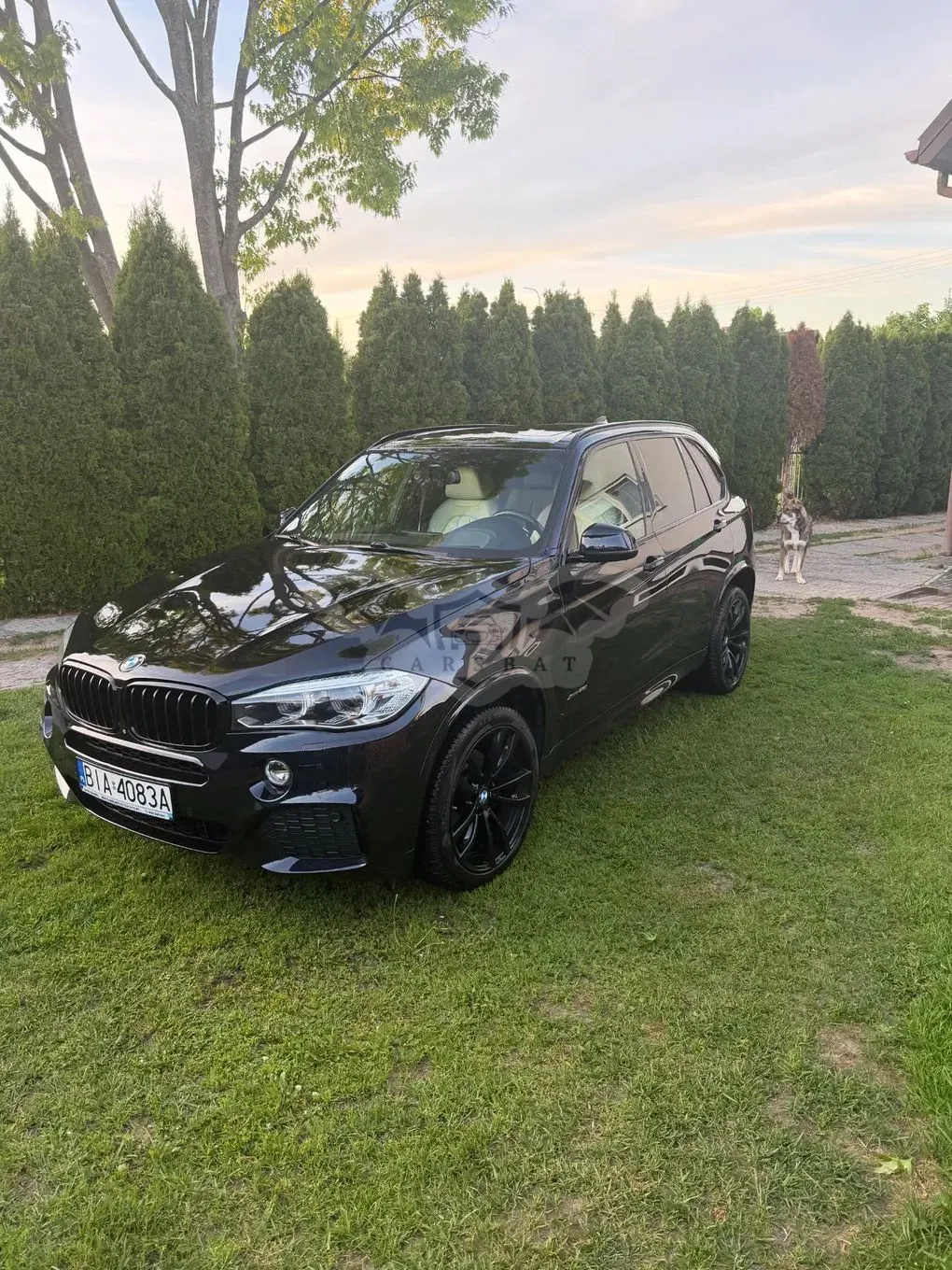 BMW X5 F15 2016