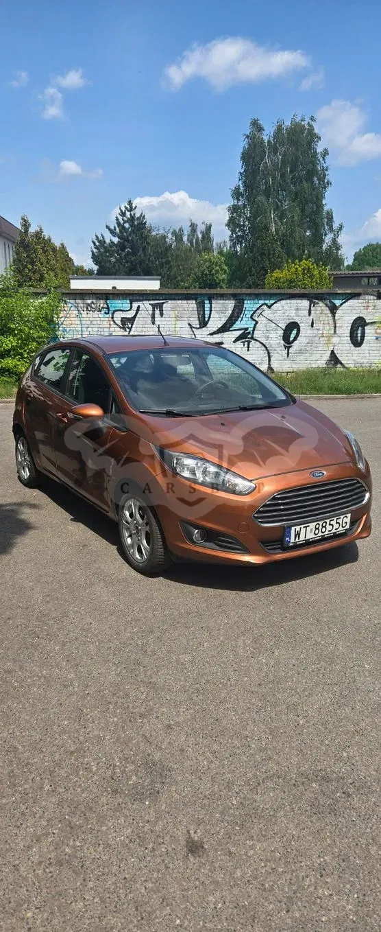 Ford Fiesta Mk7 1.0 EcoBoost Gold X 2013