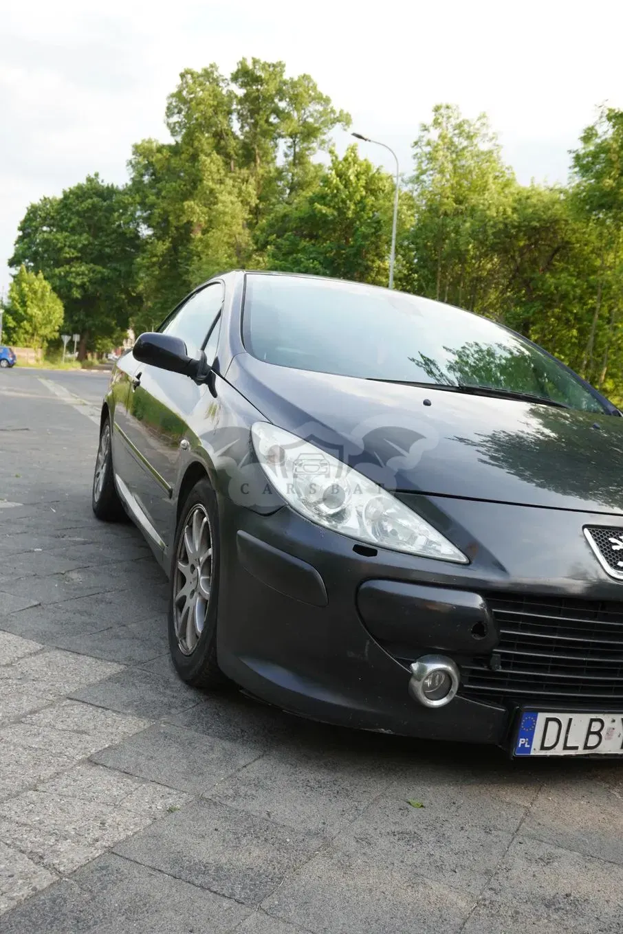 Peugeot 307 2005