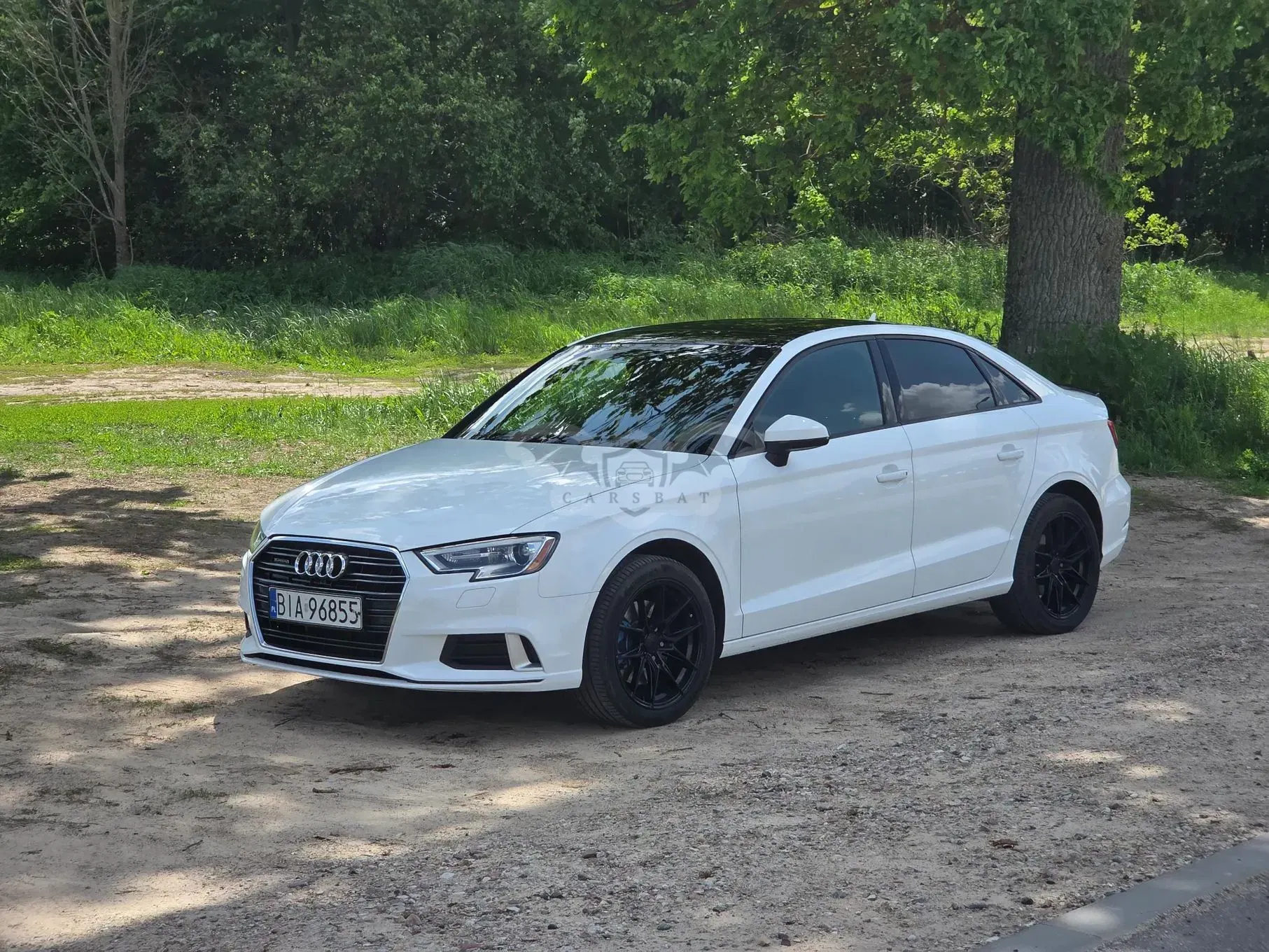 Audi A3 8V 2.0 TFSI quattro S tronic design 2017