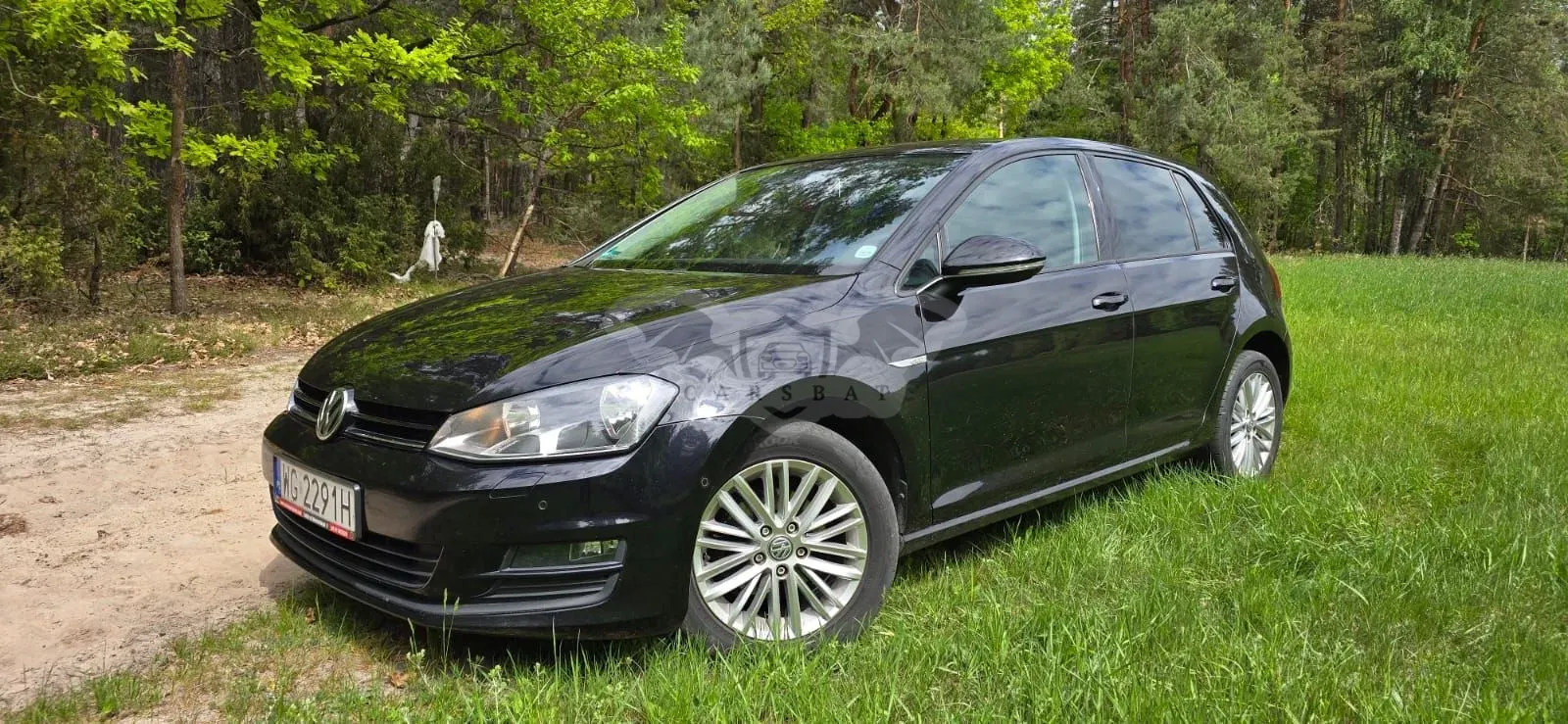 Volkswagen Golf VII 1.6 TDI BlueMotion Technology Cup 2014