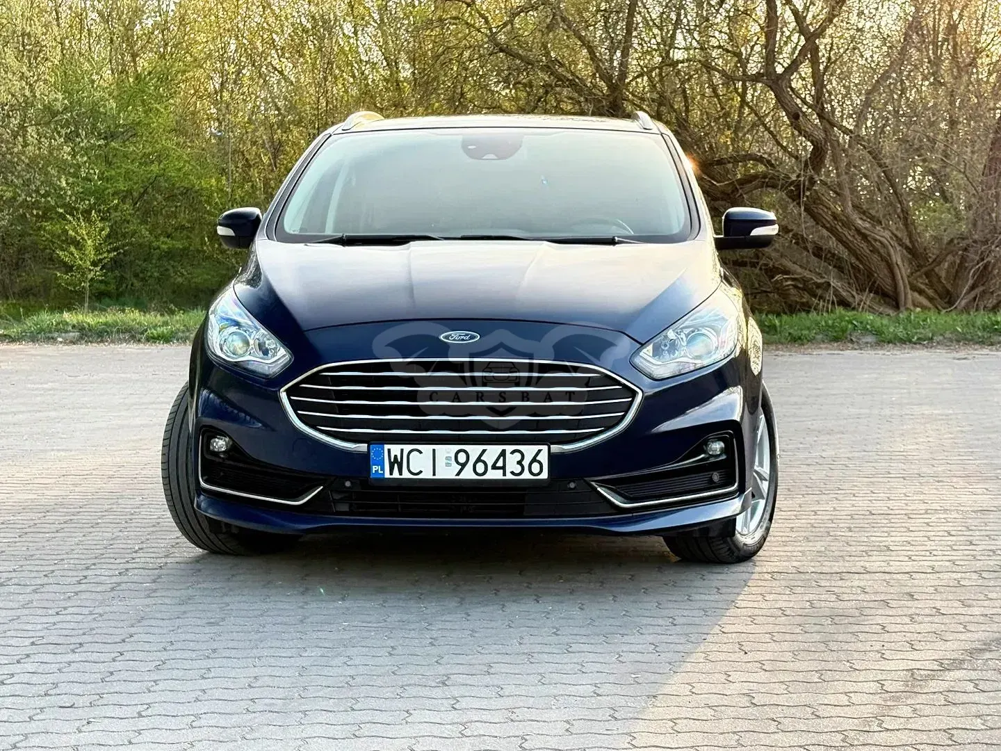 Ford S-Max II 2.0 EcoBlue Titanium 2020
