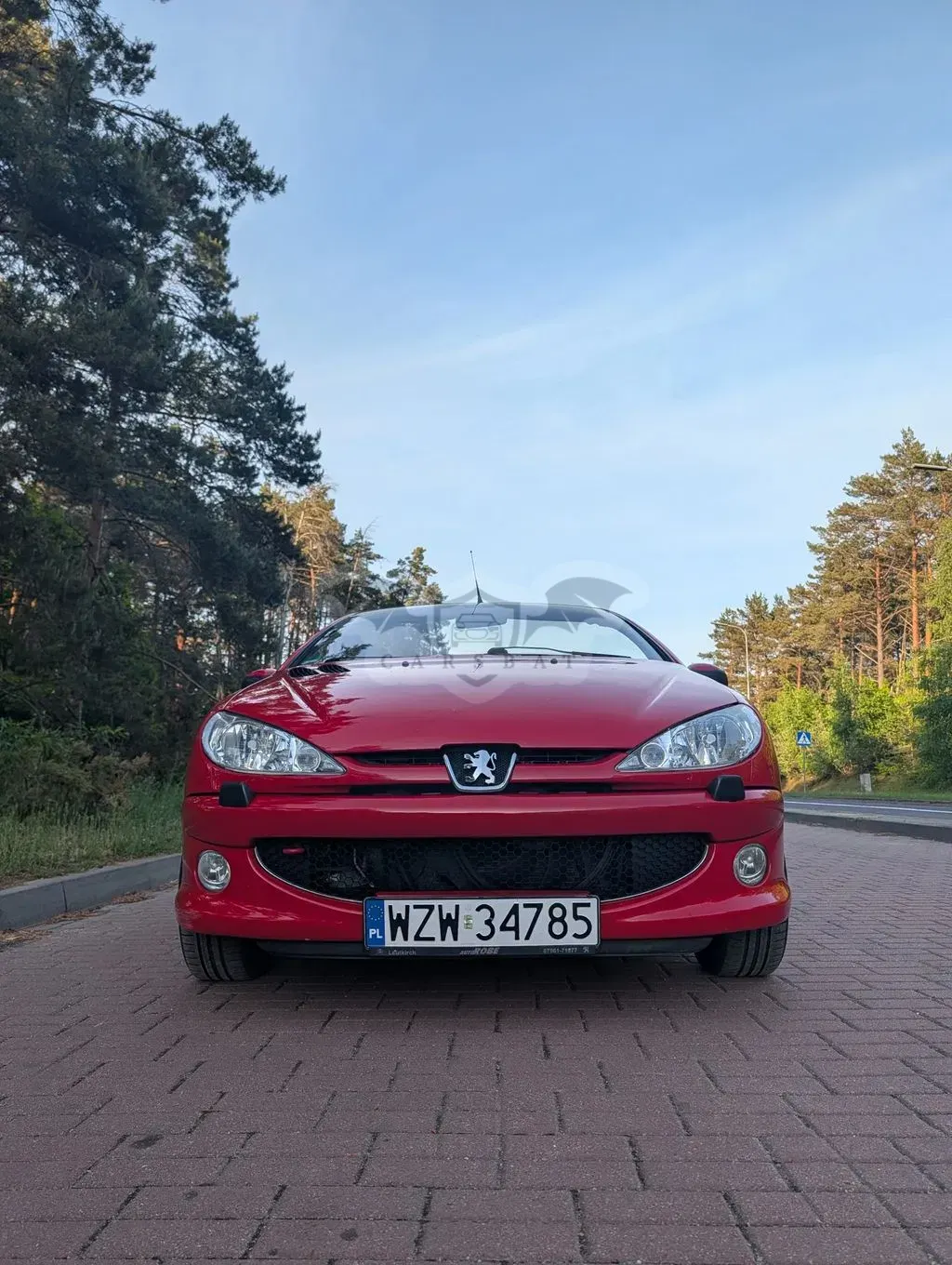 Peugeot 206 1.6 Euro3 2004