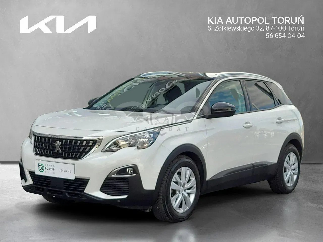 Peugeot 3008 II 2019