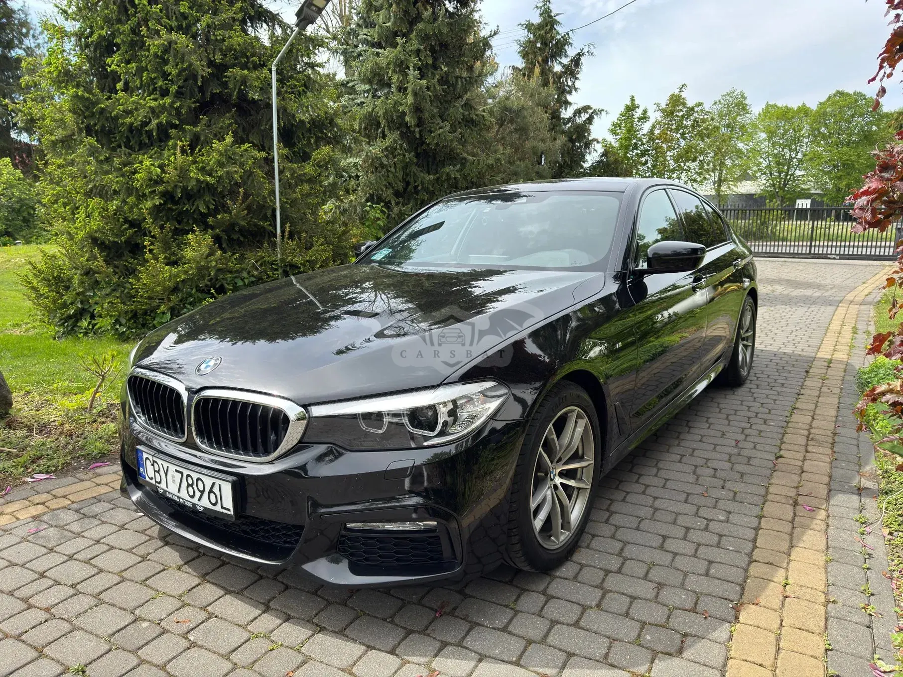 BMW 5 Series G30/G31 520d xDrive 2017