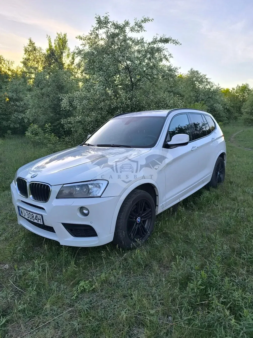 BMW X3 F25 2013