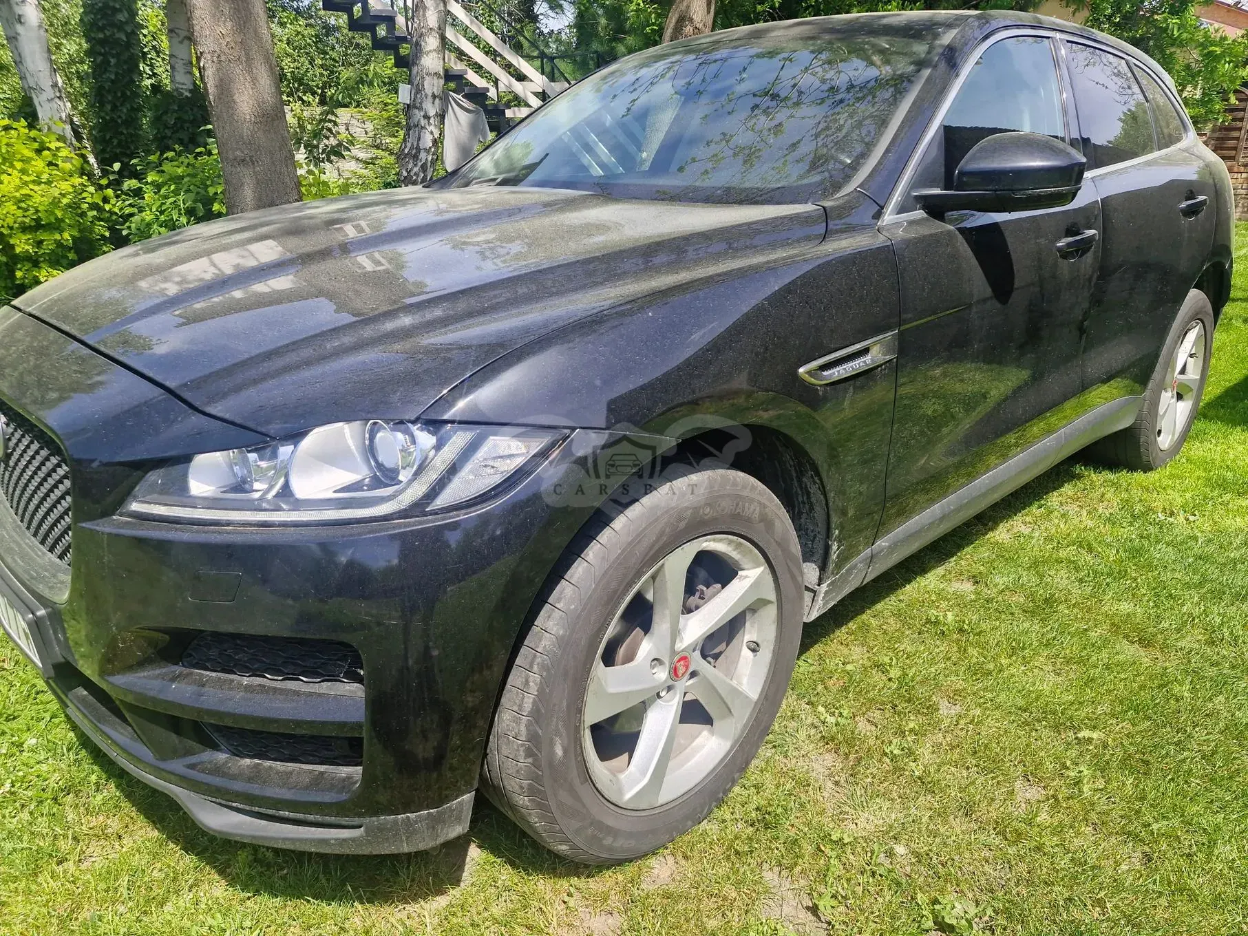 Jaguar F-Pace 2.0 i4D AWD Pure 2019