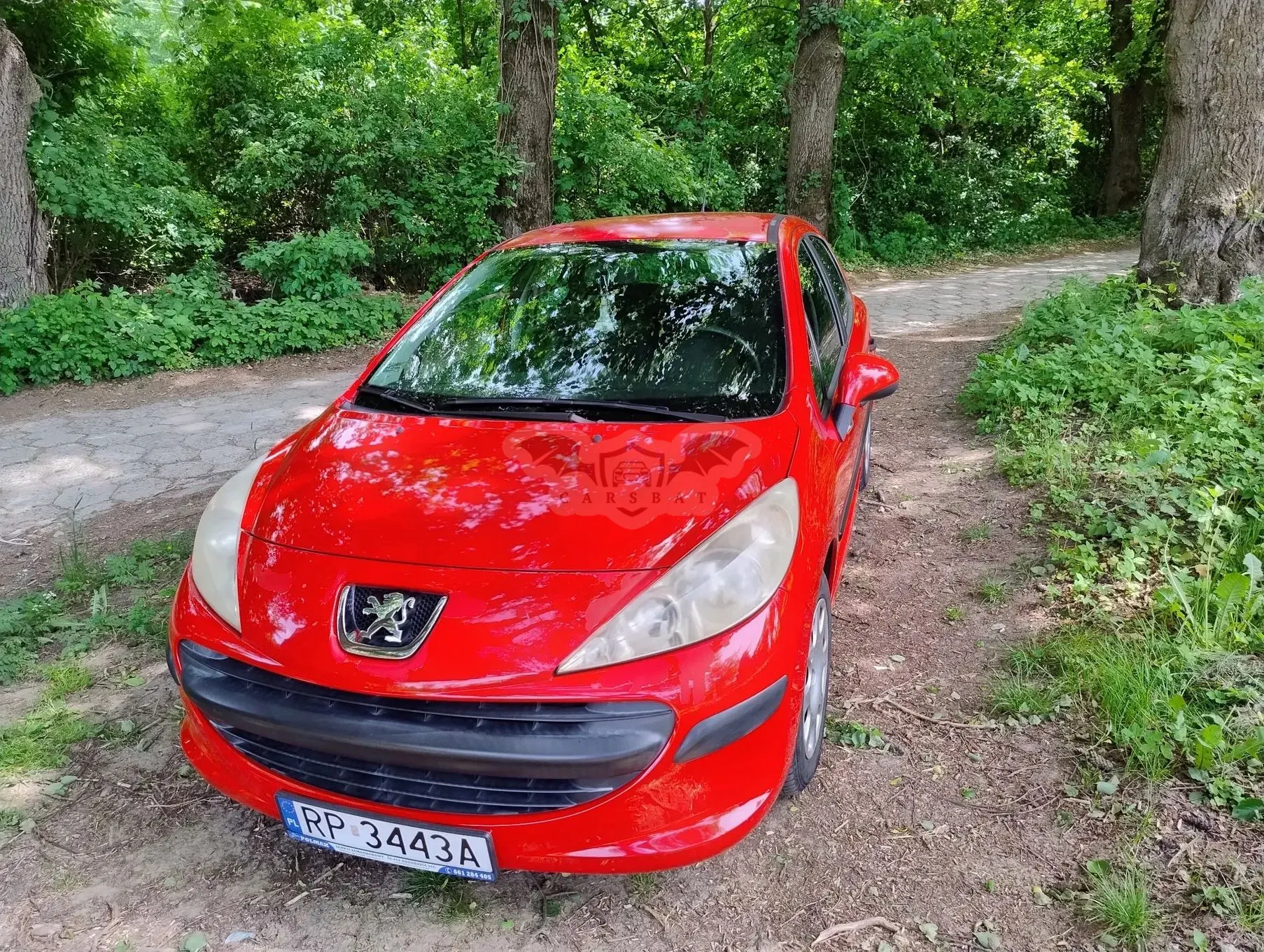 Peugeot 207 90 Tendance 2006