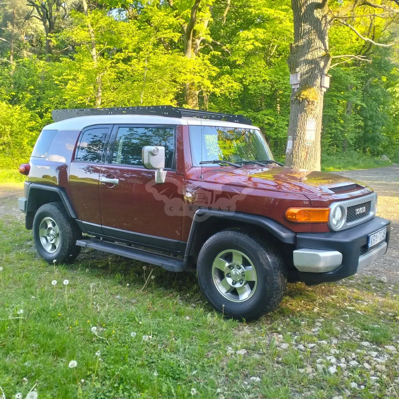 Toyota FJ Cruiser 4.0 2007