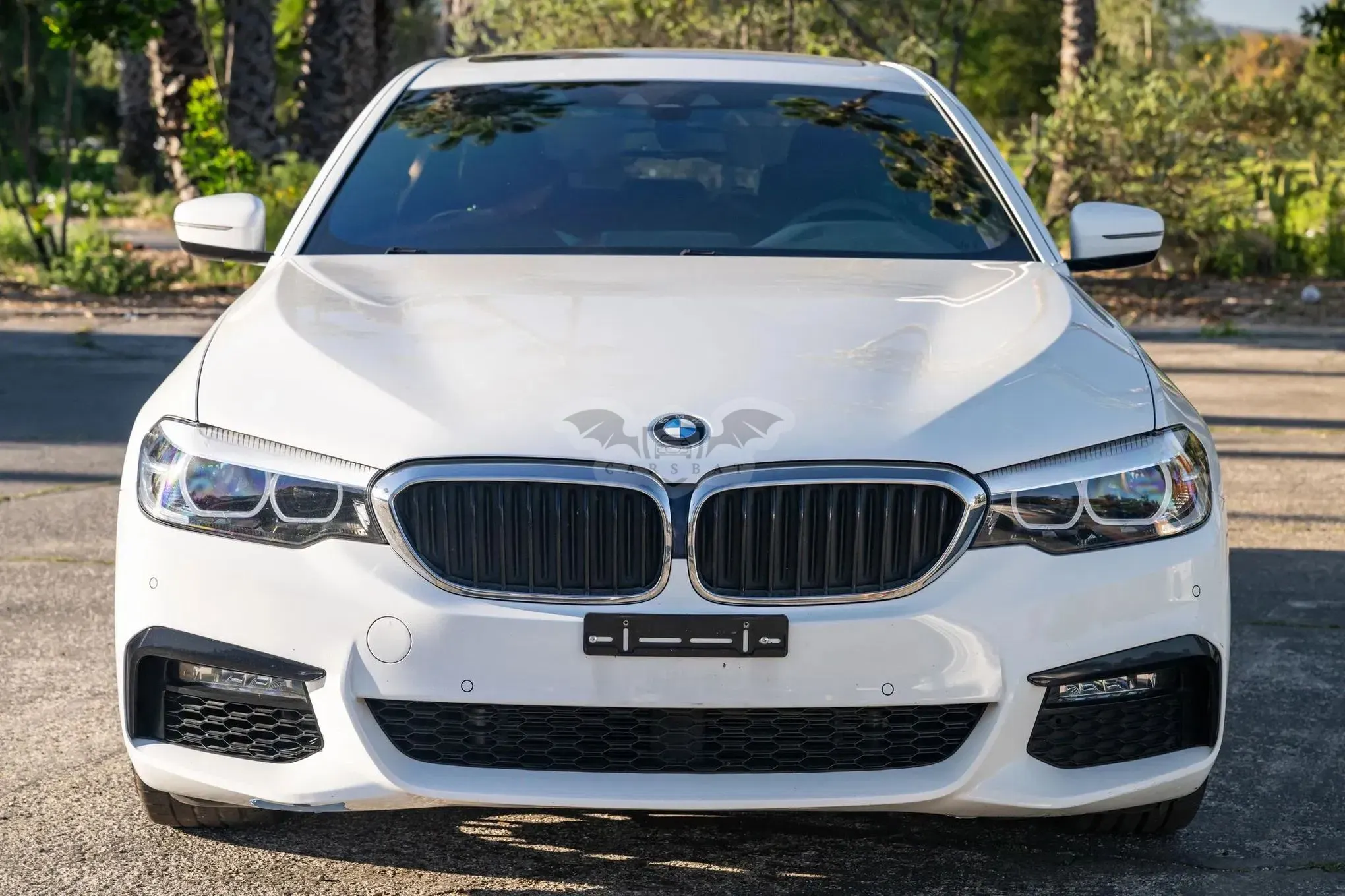 BMW 5 Series G30/G31 530i M Sport Edition 2020