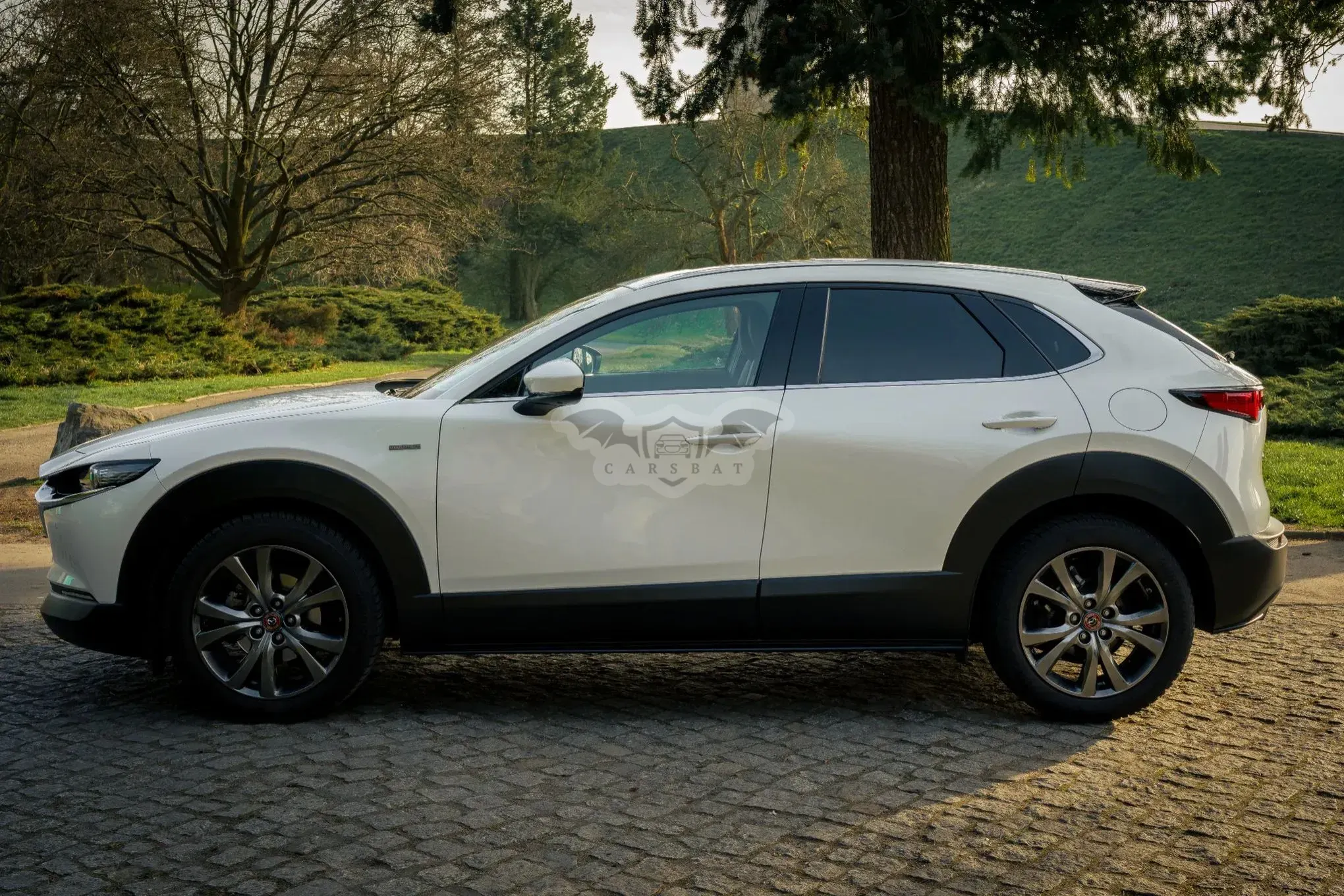 Mazda CX-30 2.0 mHEV 100th Anniversary 2WD 2020