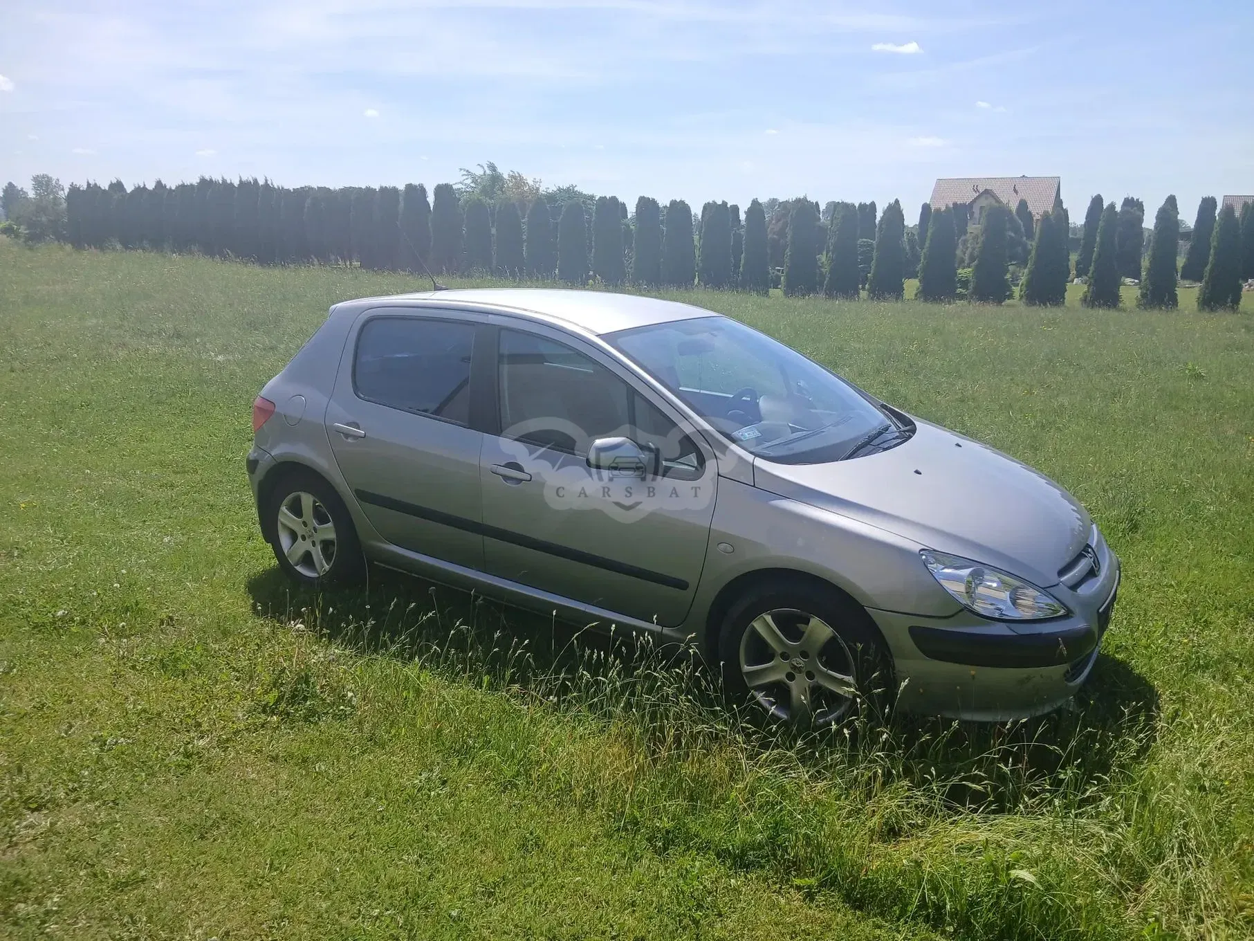 Peugeot 307 I 1.6 HDi Mistral 2004