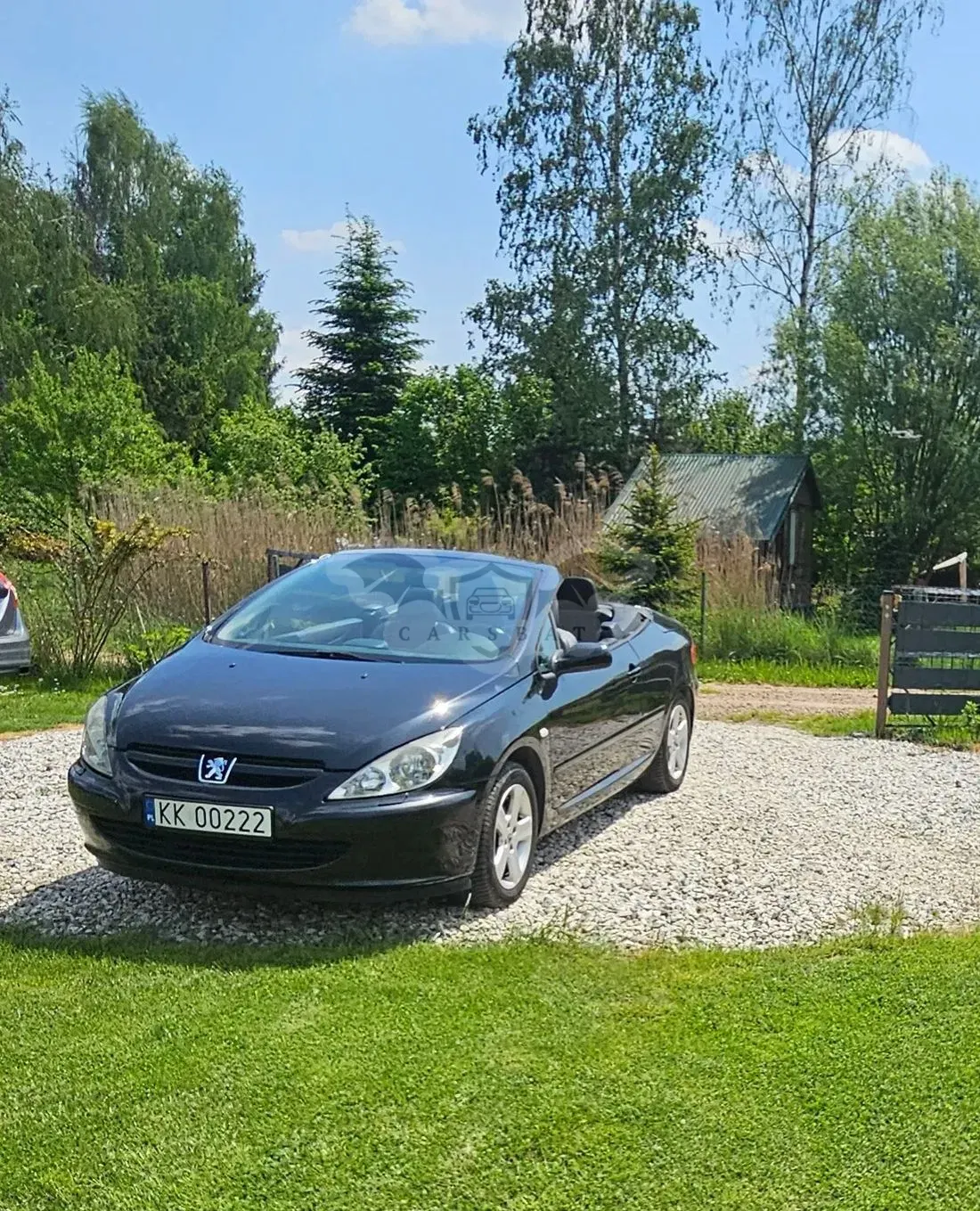 Peugeot 307 2004