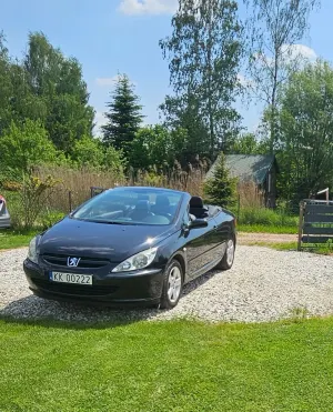 Peugeot 307 2004