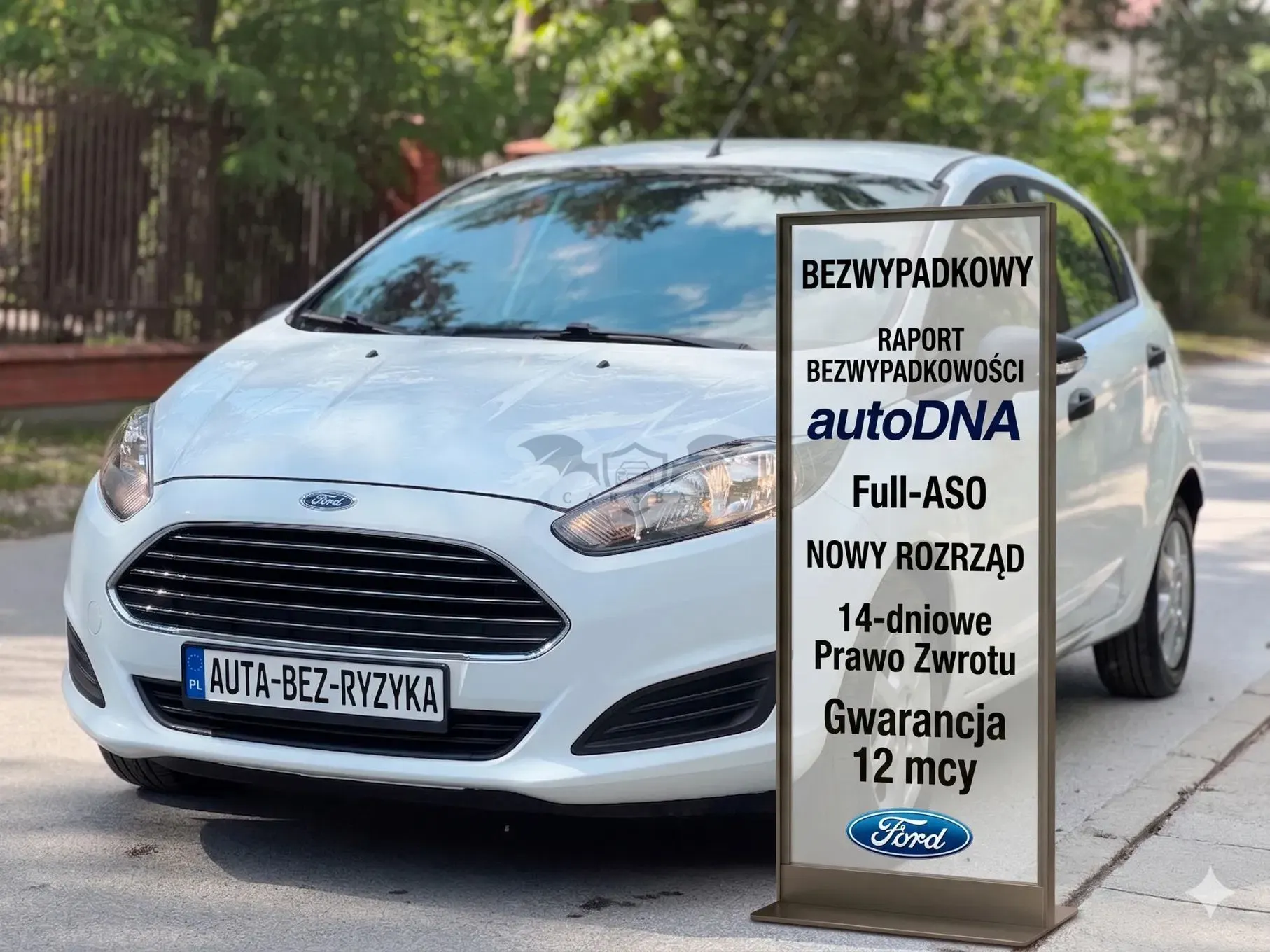 Ford Fiesta Mk7 1.25 Silver X (Ambiente) EU6 2015