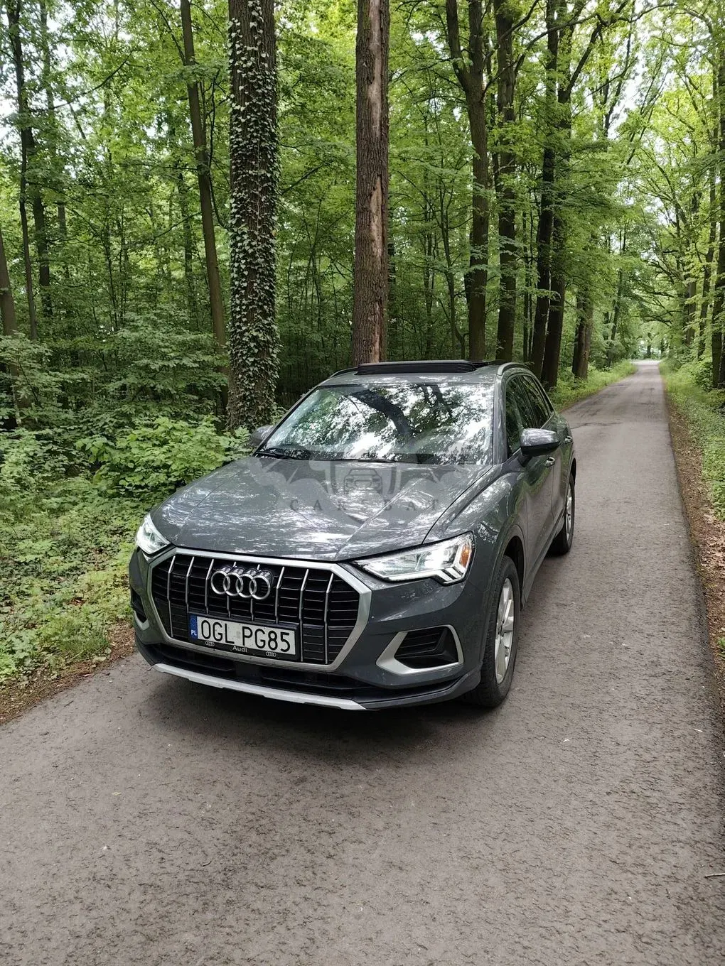 Audi Q3 II 45 TFSI Quattro S tronic 2021