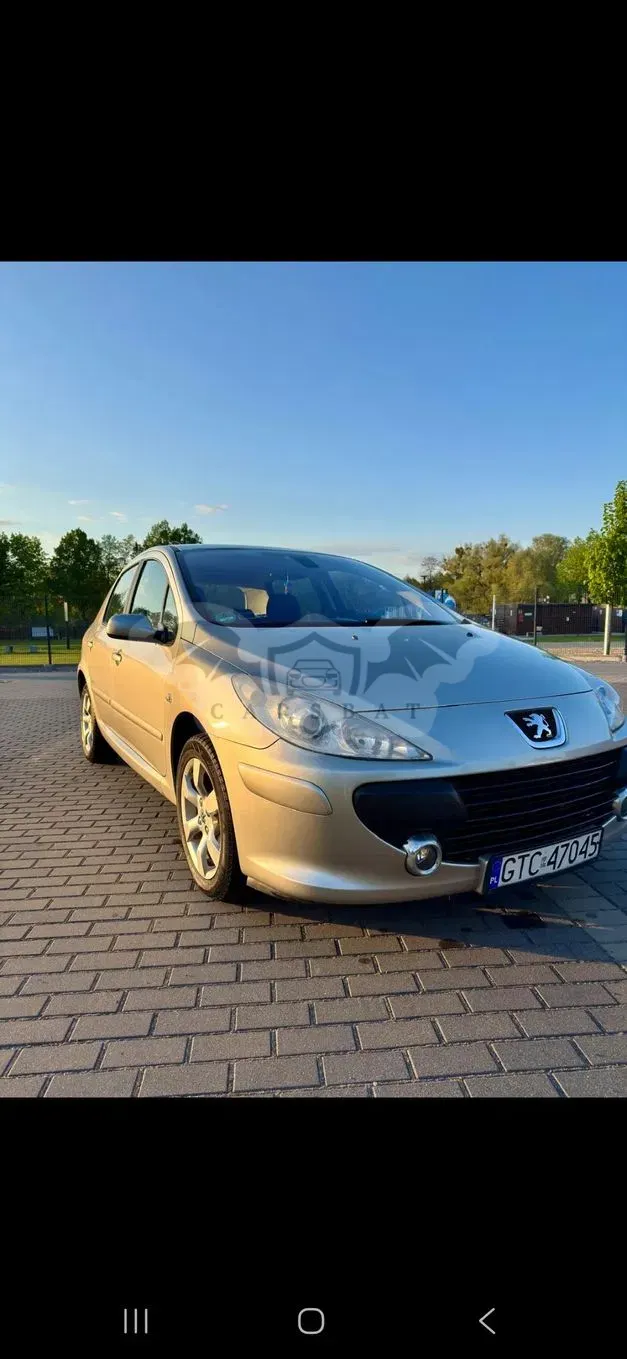 Peugeot 307 II 1.6 2005