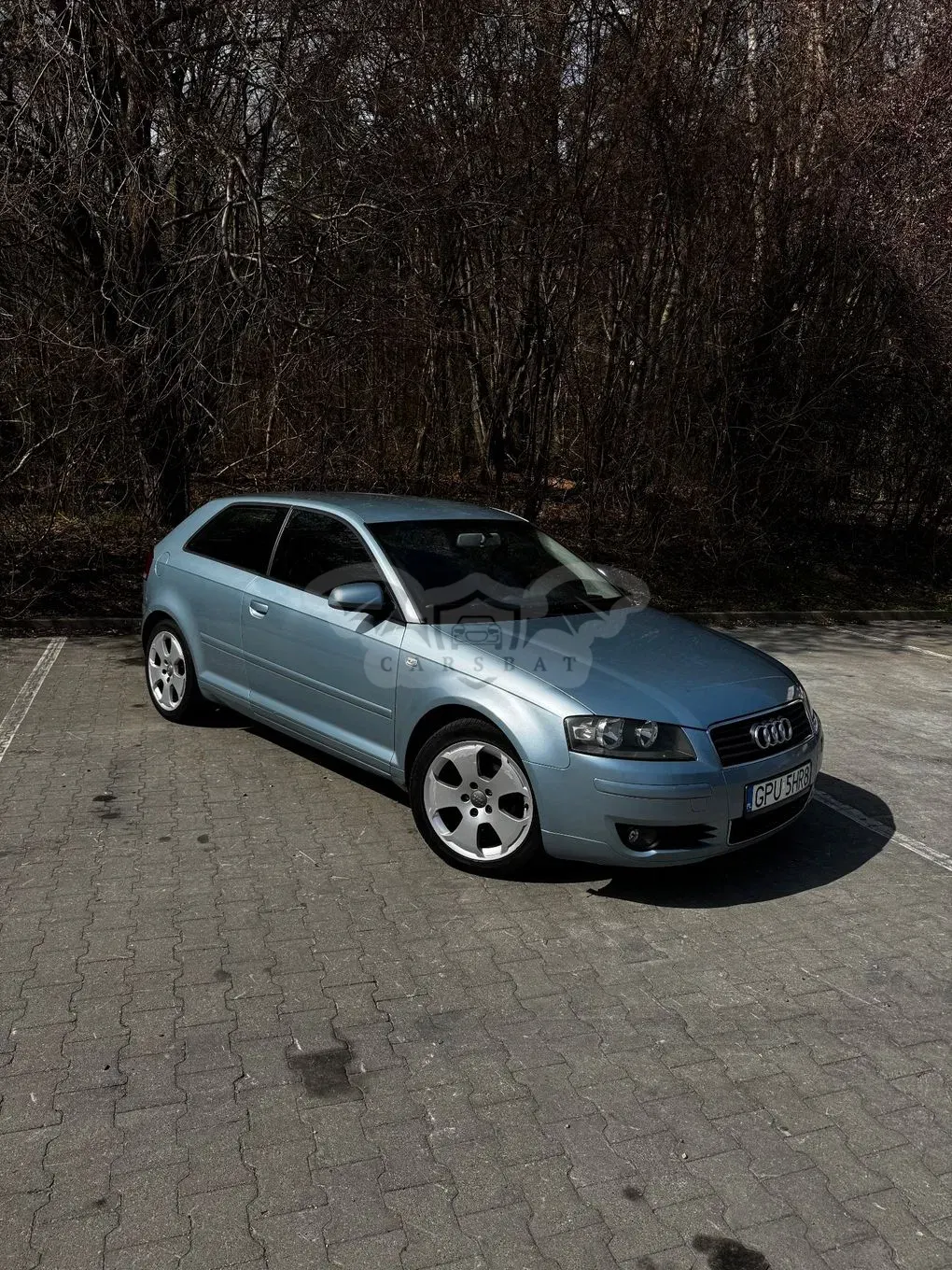Audi A3 8P 1.9 TDIe DPF 2005