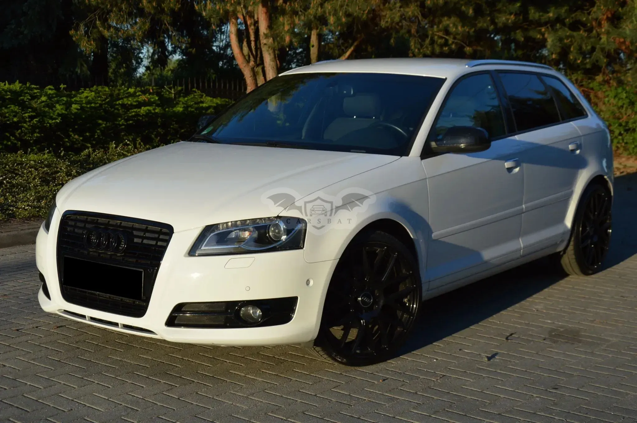 Audi A3 8P 2.0 TDI DPF S line Sportpaket 2011