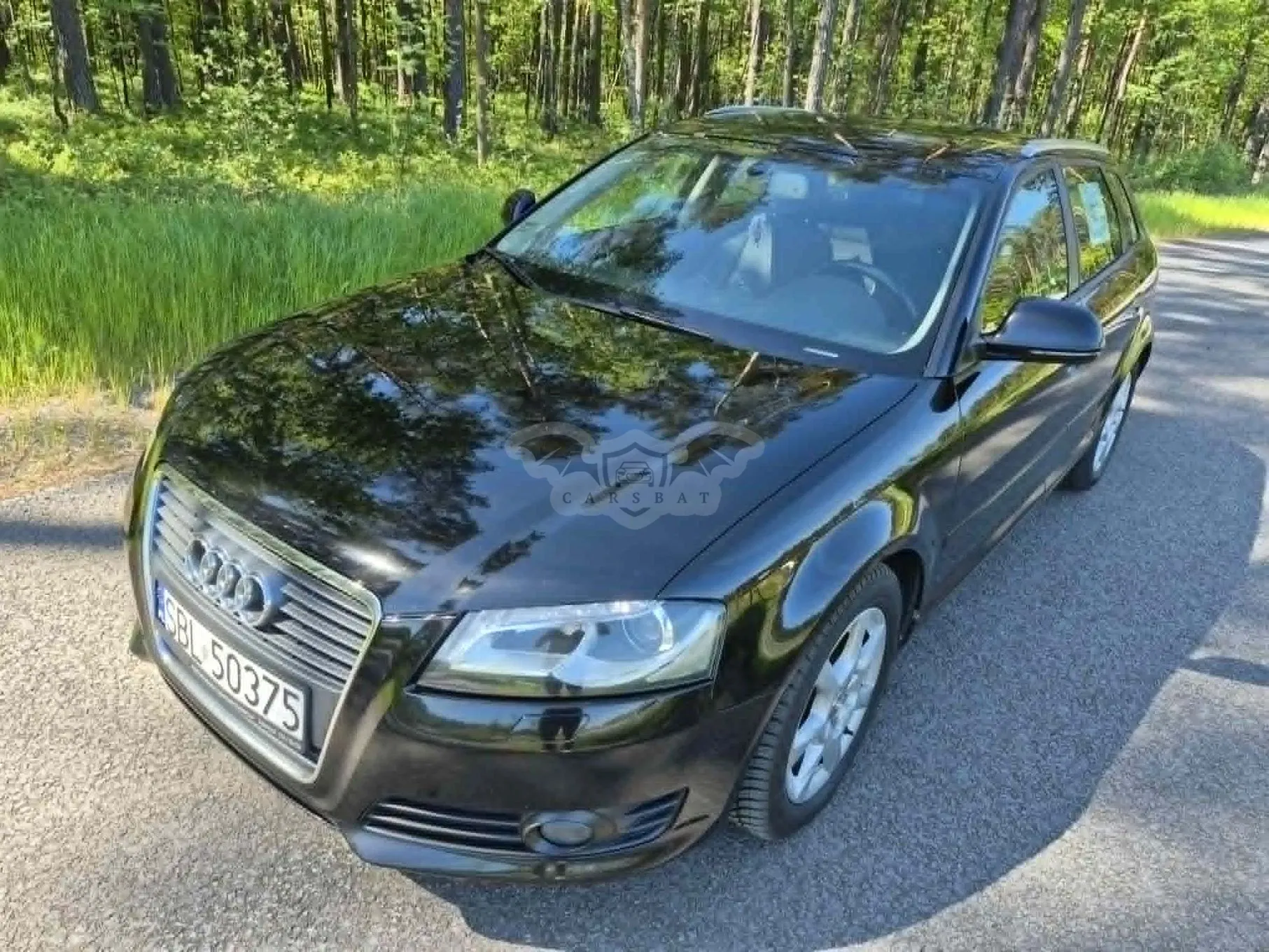 Audi A3 8P 1.9 TDI Attraction 2008