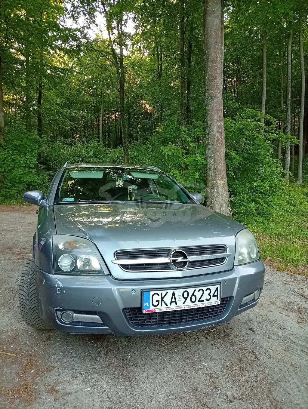 Opel Signum 2004