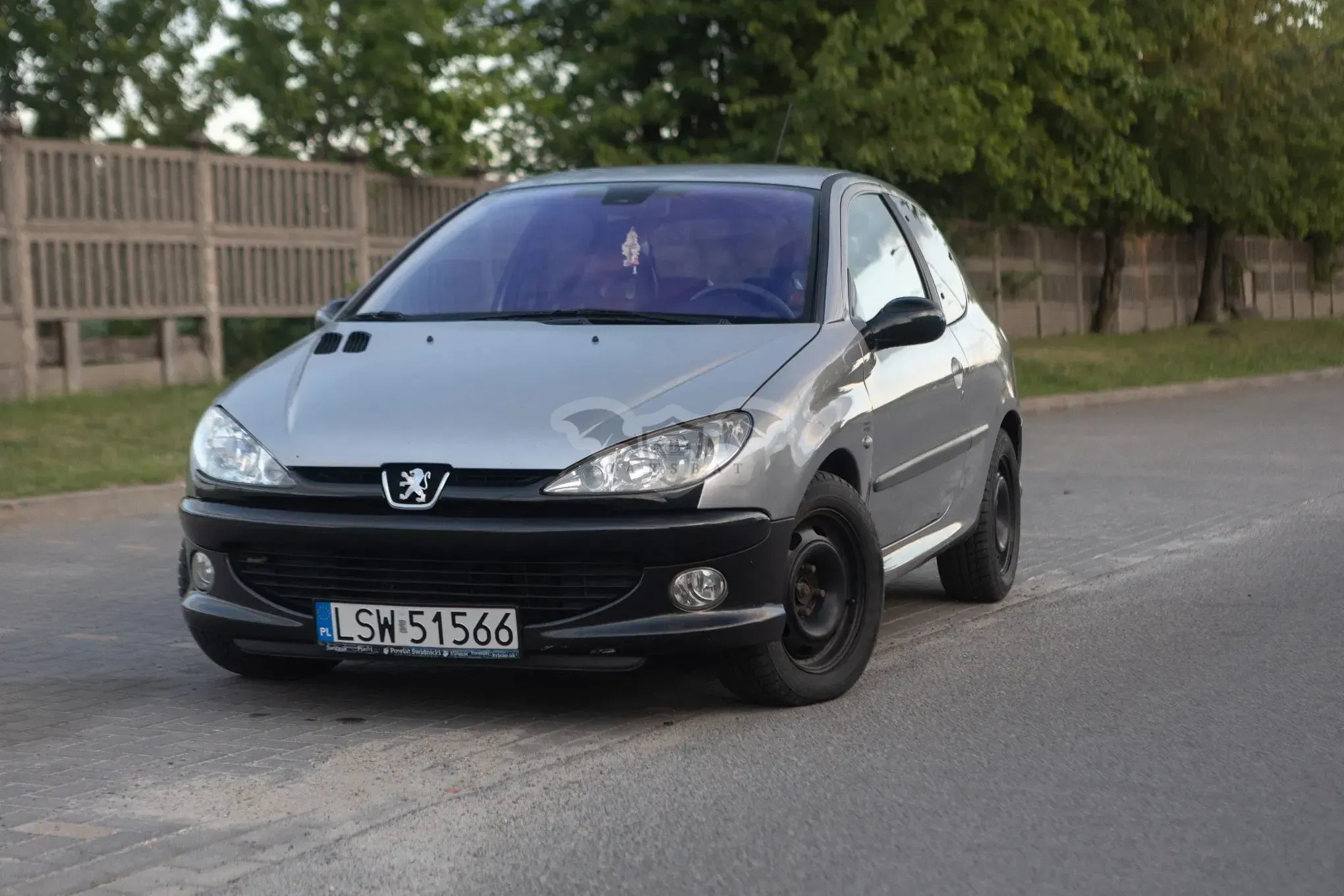 Peugeot 206 2.0 S16 2002