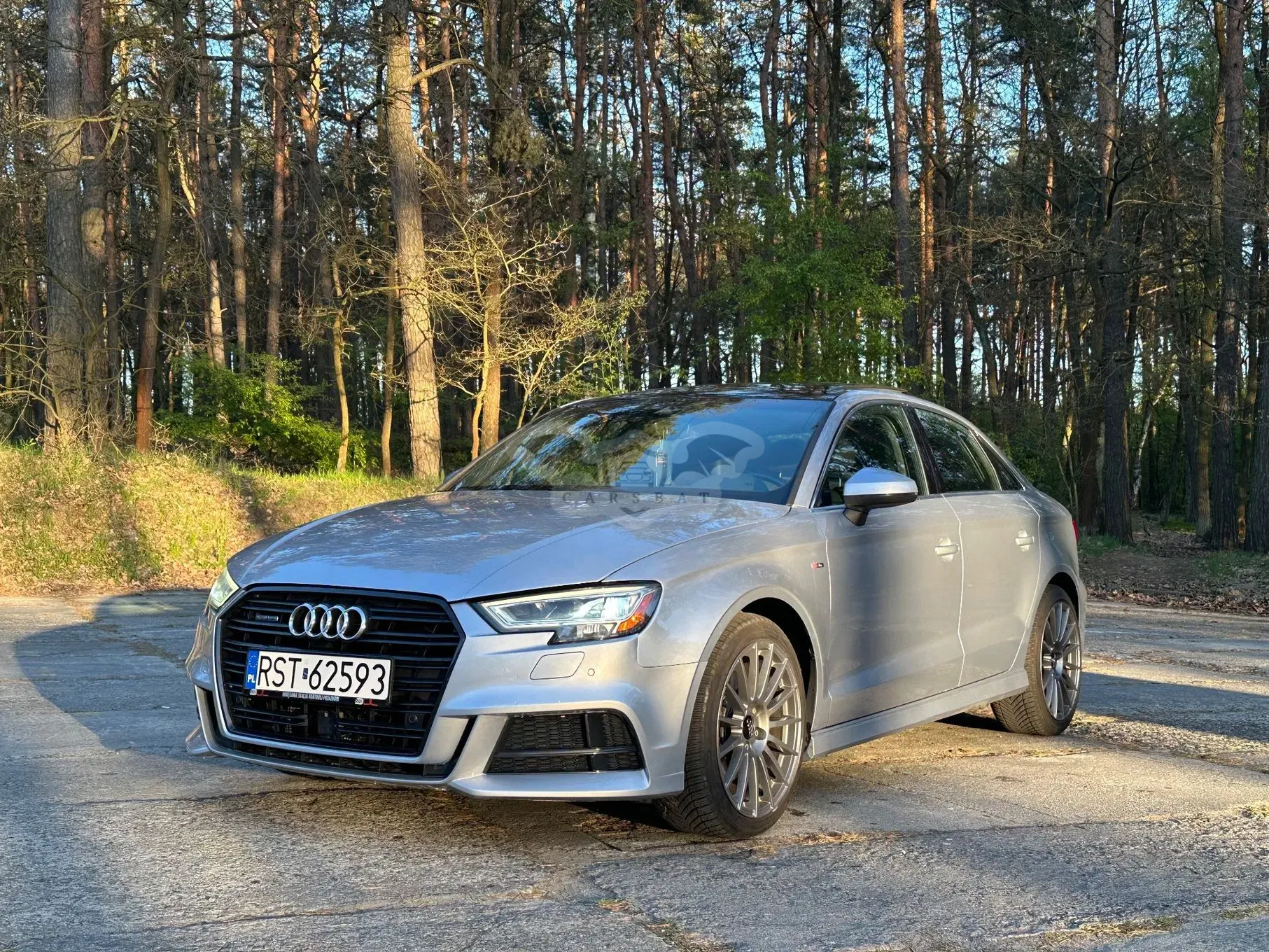 Audi A3 8V 2.0 TFSI quattro S tronic sport 2017