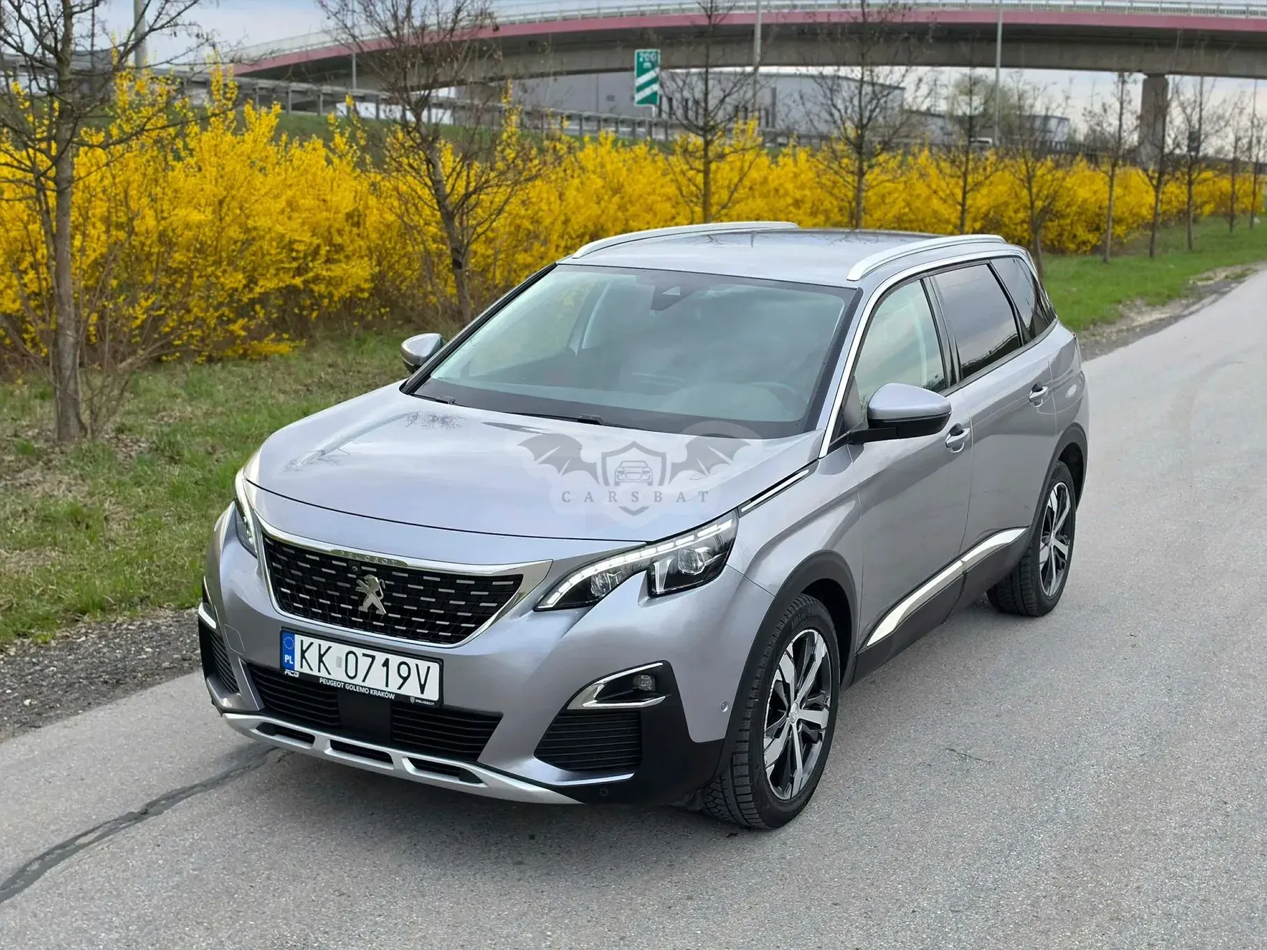 Peugeot 5008 II 2017