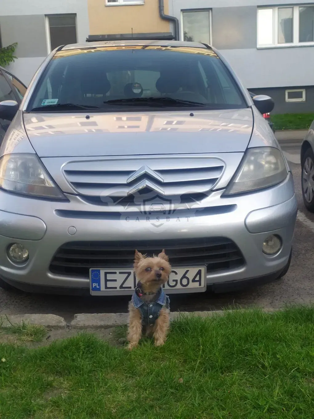 Citroën C3 II 1.4 SX 2008