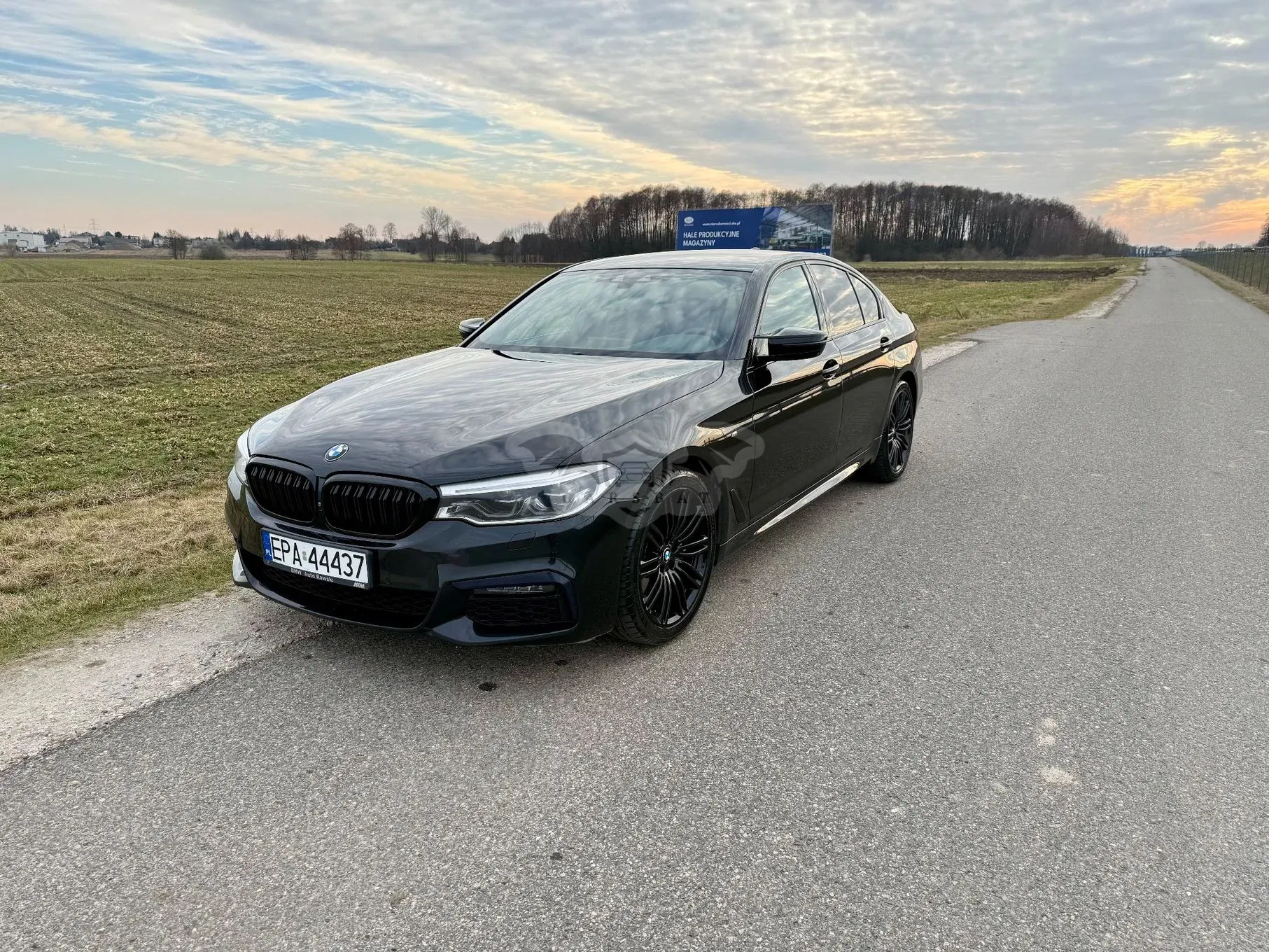 BMW 5 Series G30/G31 530i GPF M Sport sport 2019