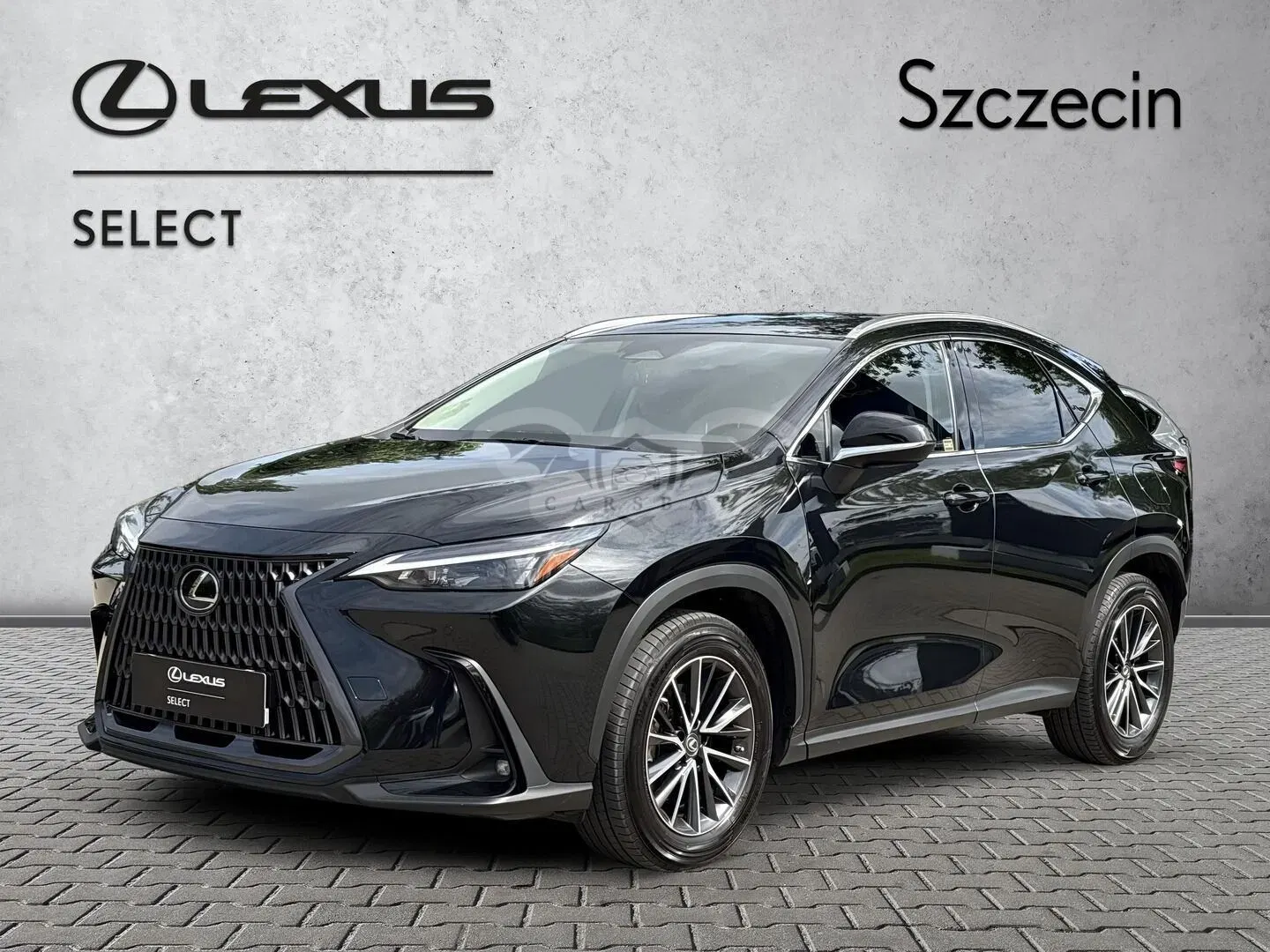 Lexus NX II 350h Business AWD 2023