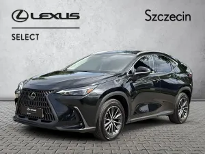 Lexus NX II 350h Business AWD 2023