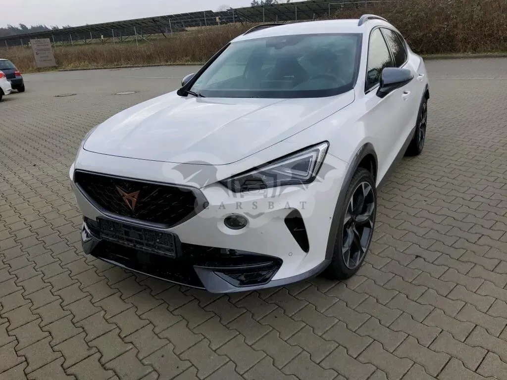 Cupra Formentor 2.0 TSI 4Drive VZ DSG 2024