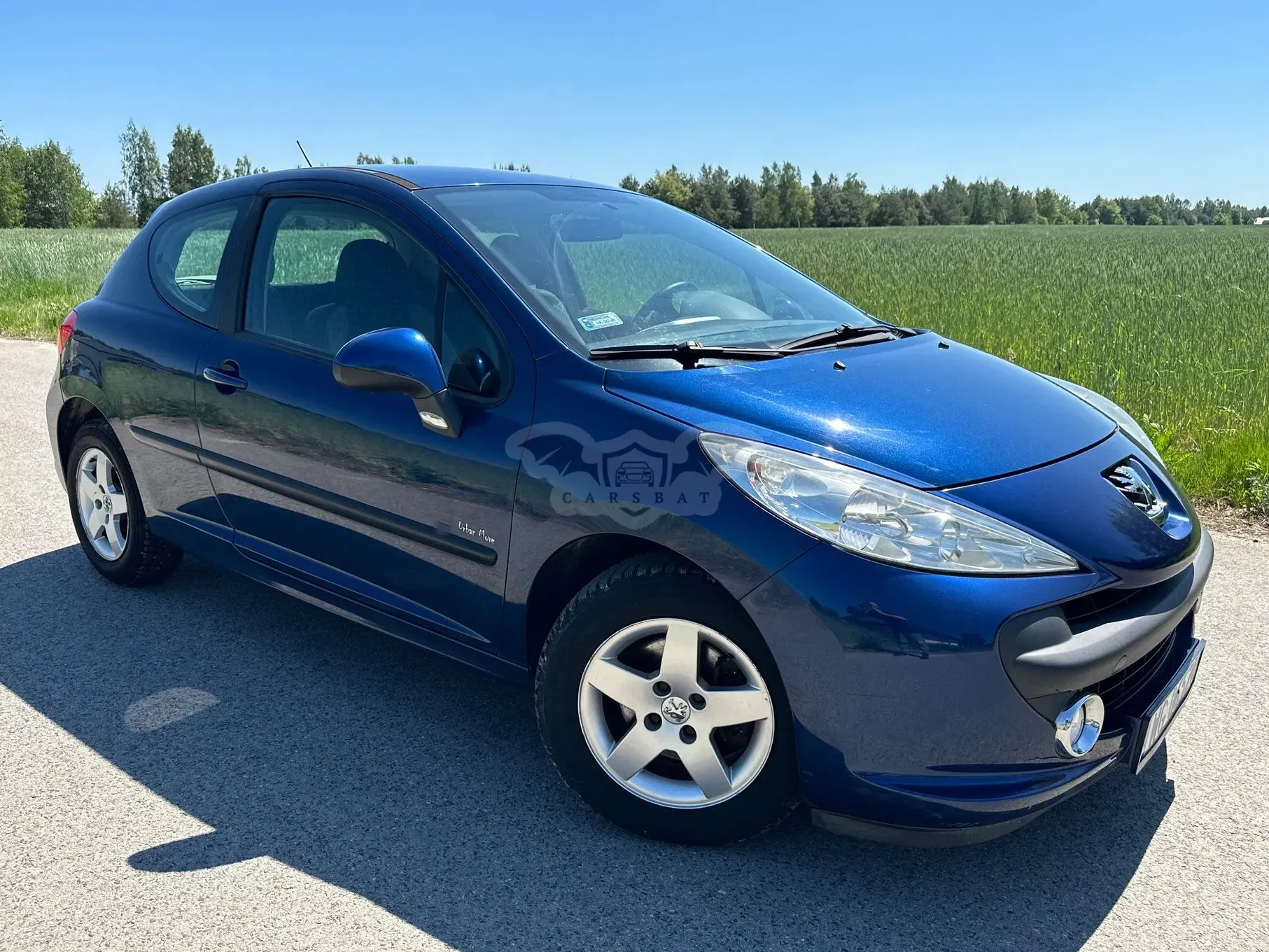 Peugeot 207 1.4 16V Trendy 2009
