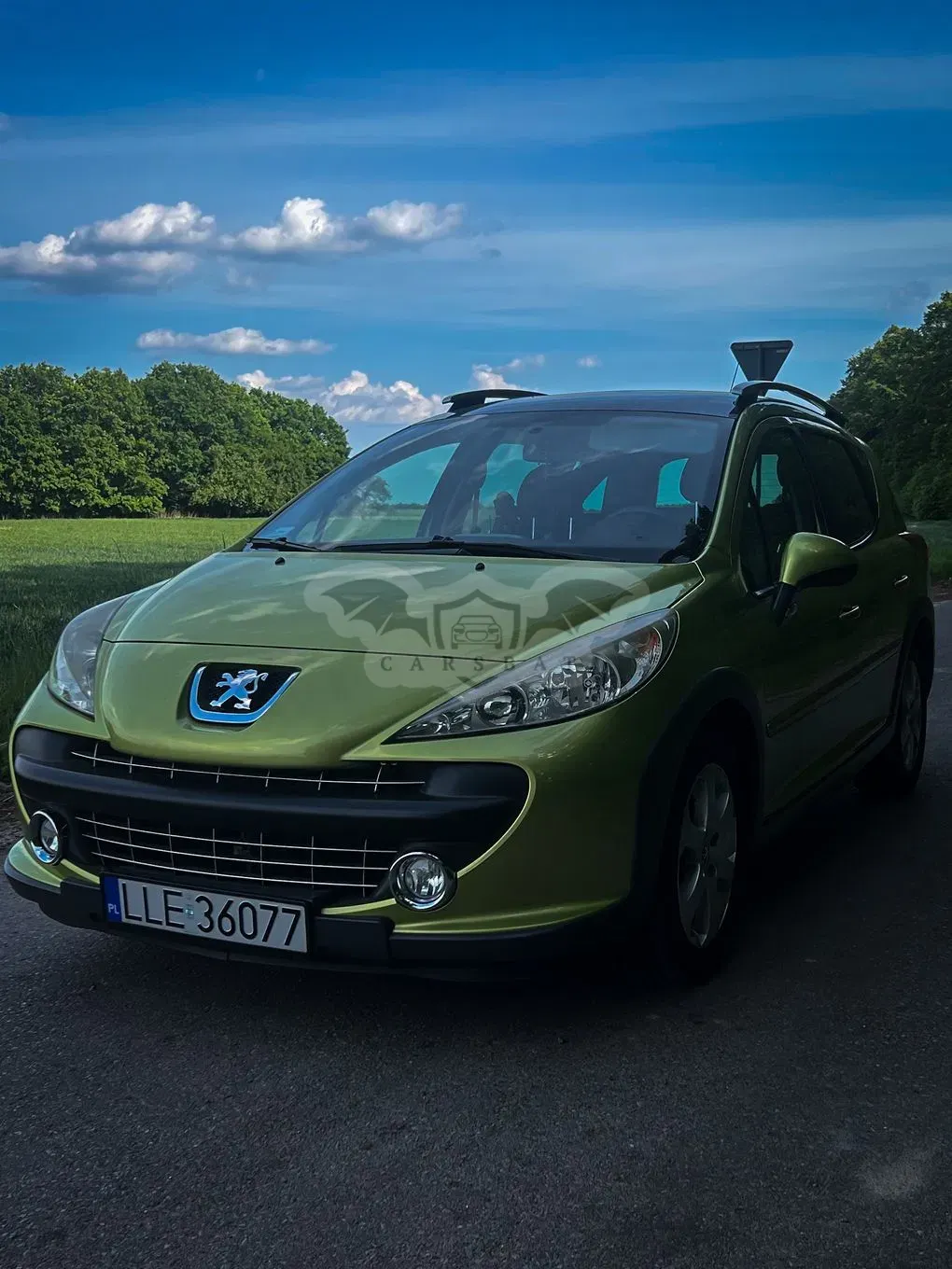 Peugeot 207 120 Sport 2008