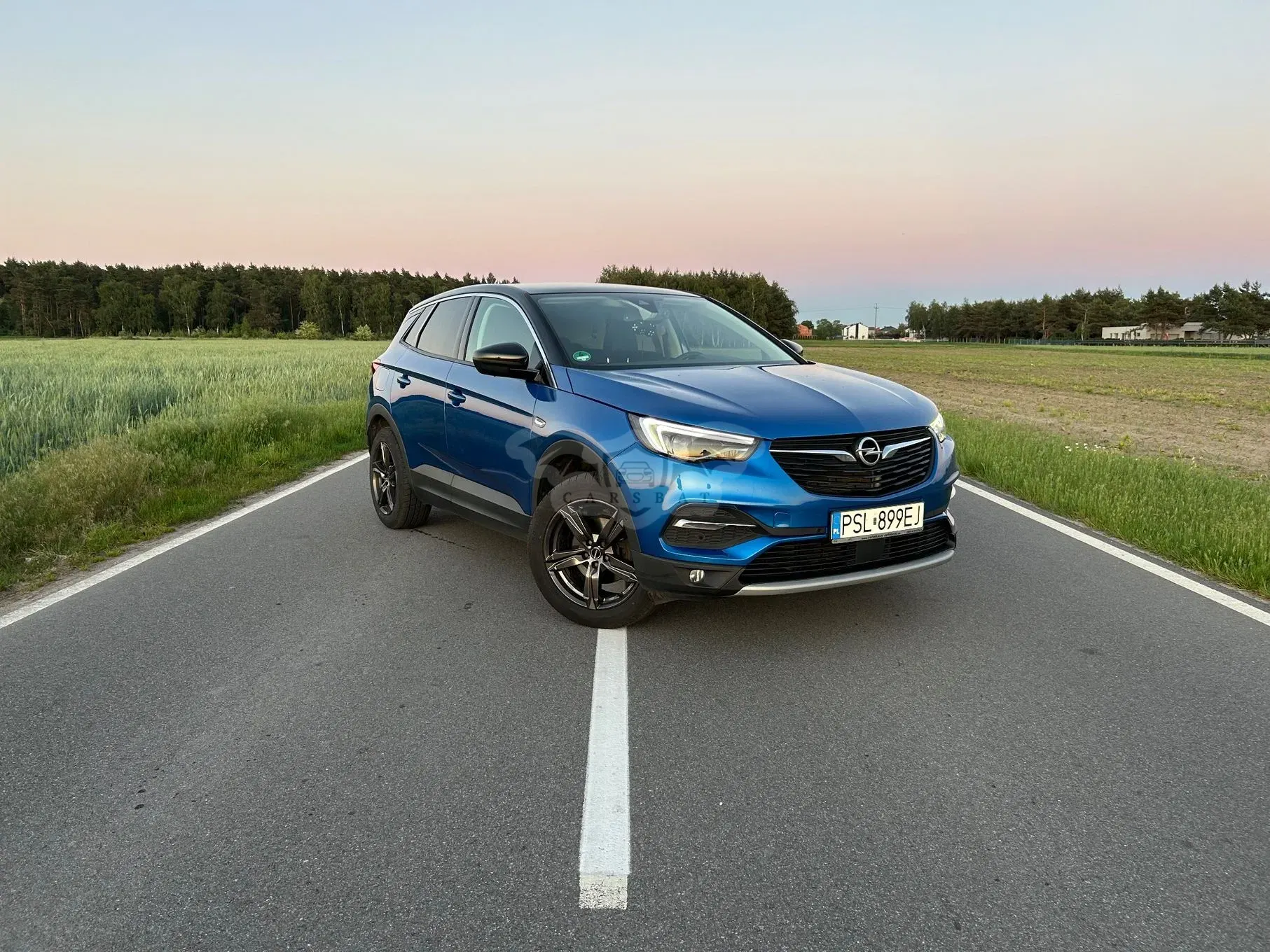Opel Grandland 1.2 T GPF Elegance Business Pack S&S 2019