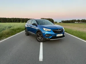 Opel Grandland 1.2 T GPF Elegance Business Pack S&S 2019